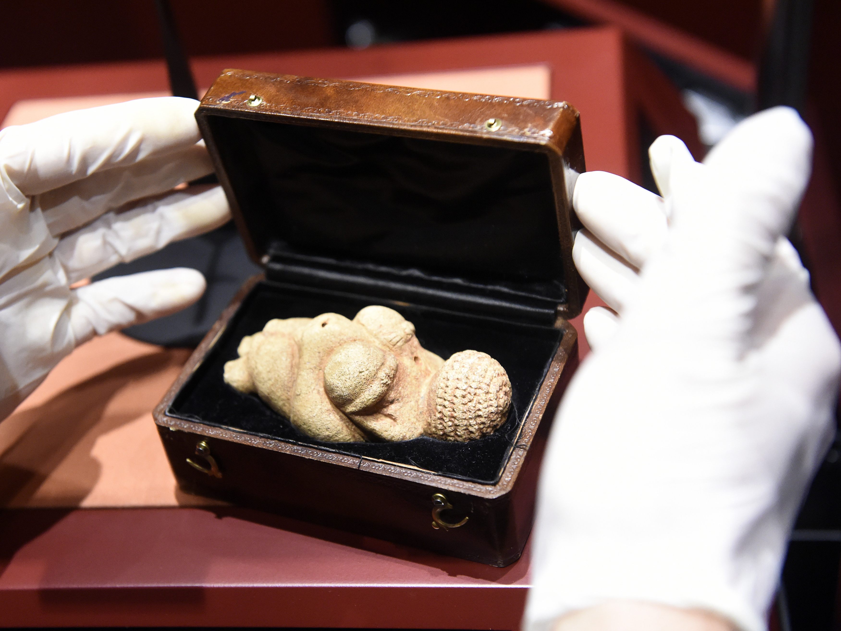 Die Venus von Willendorf ist aus italienischem Gestein. Die Venus von Willendorf ist aus italienischem Gestein.