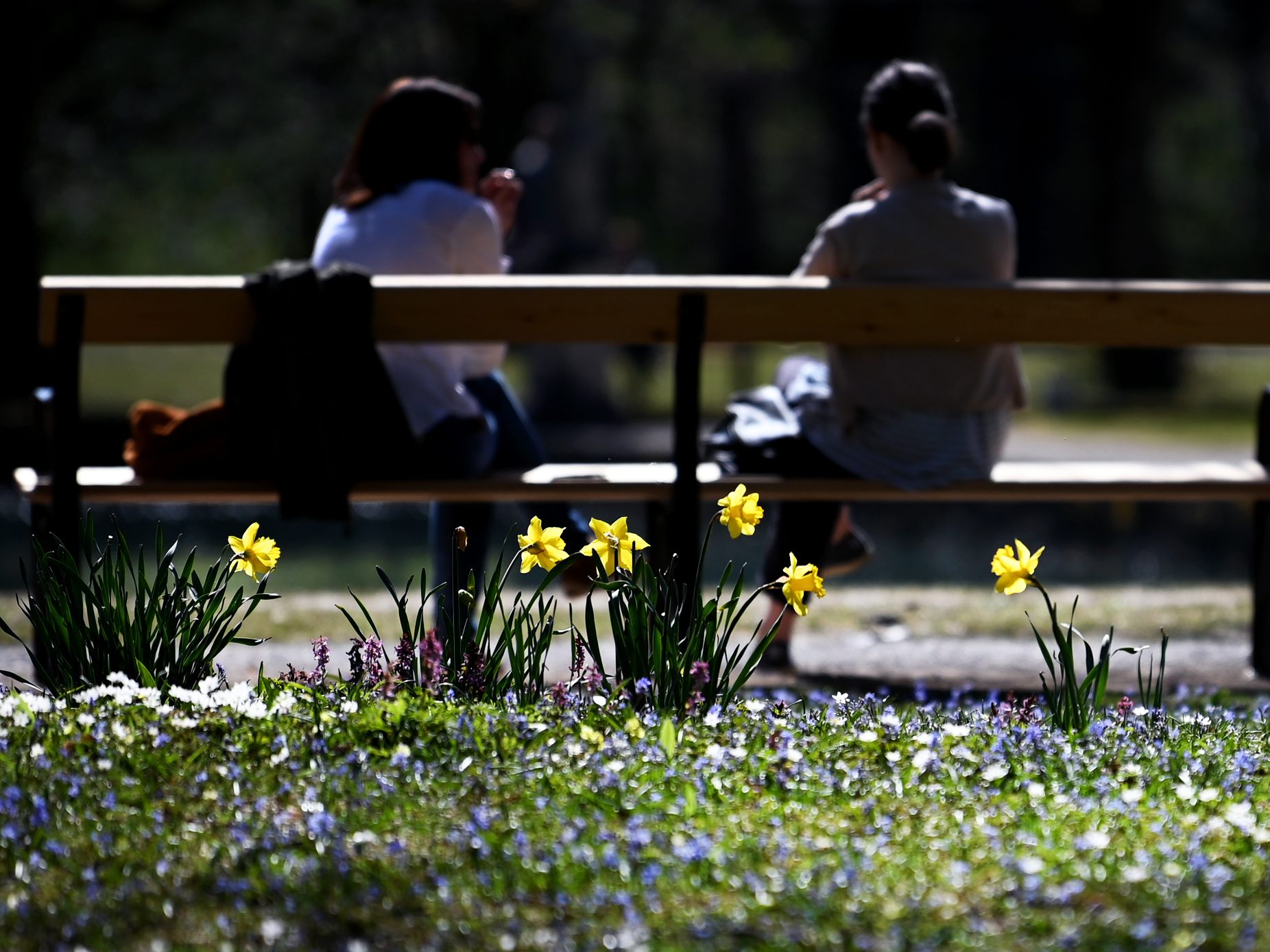 Kommende Woche lässt der Frühling grüßen. Kommende Woche lässt der Frühling grüßen.