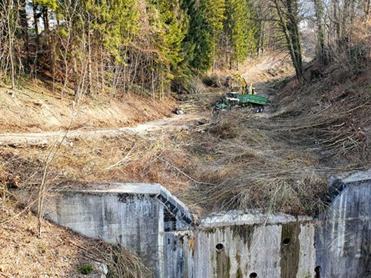Pflegearbeiten bei Bludenzer Galgentobel