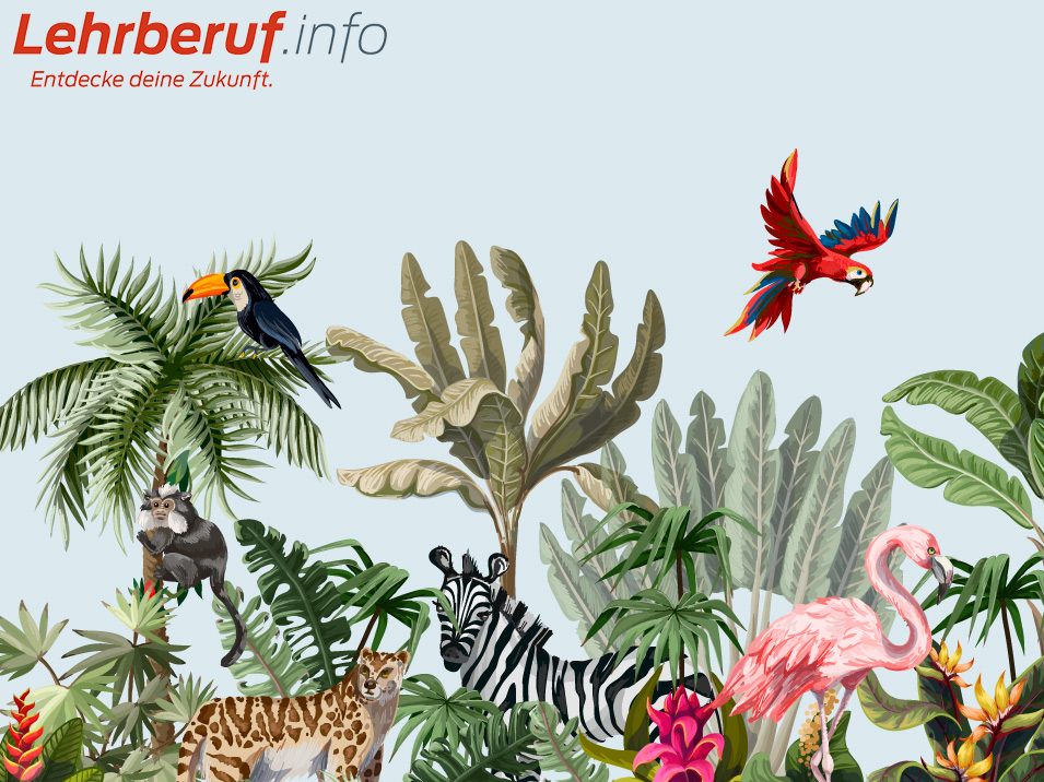 Finde deinen Weg durch den Berufs-Dschungel