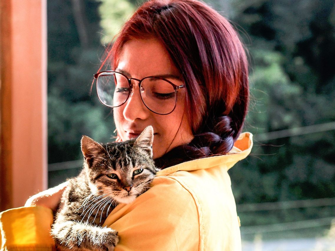 Katzen können Menschen ihre Liebe ganz deutlich zeigen - mit welchem Verhalten, erfahren Sie hier Katzen können Menschen ihre Liebe ganz deutlich zeigen - mit welchem Verhalten, erfahren Sie hier