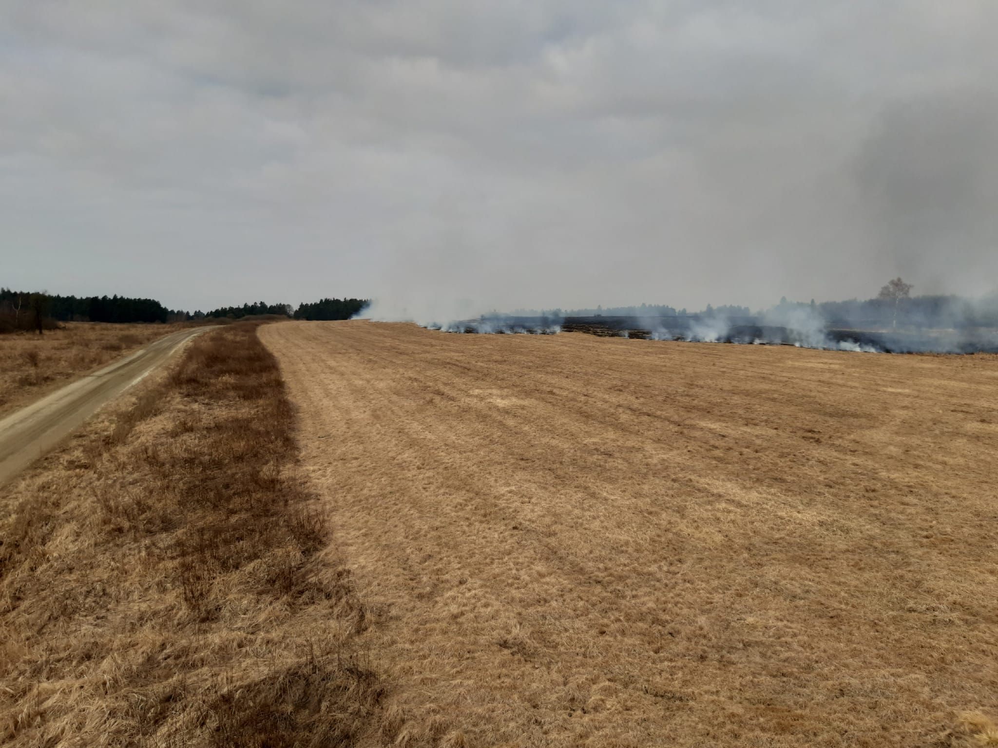 Wann "Brand aus" gegeben werden kann, war vorerst nicht absehbar. Wann "Brand aus" gegeben werden kann, war vorerst nicht absehbar.