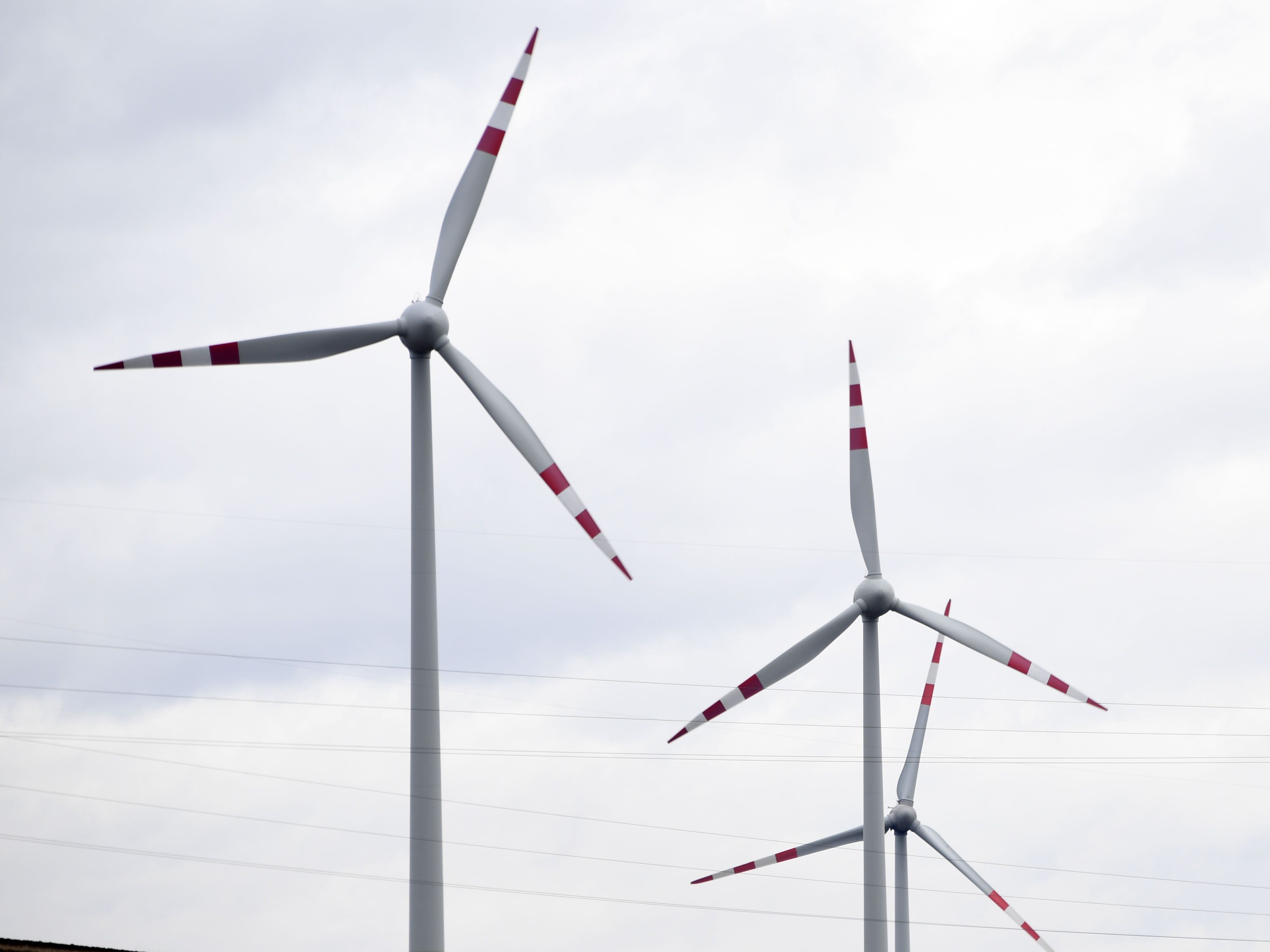 Der Windpark in Dürnkrut soll erweitert werden.