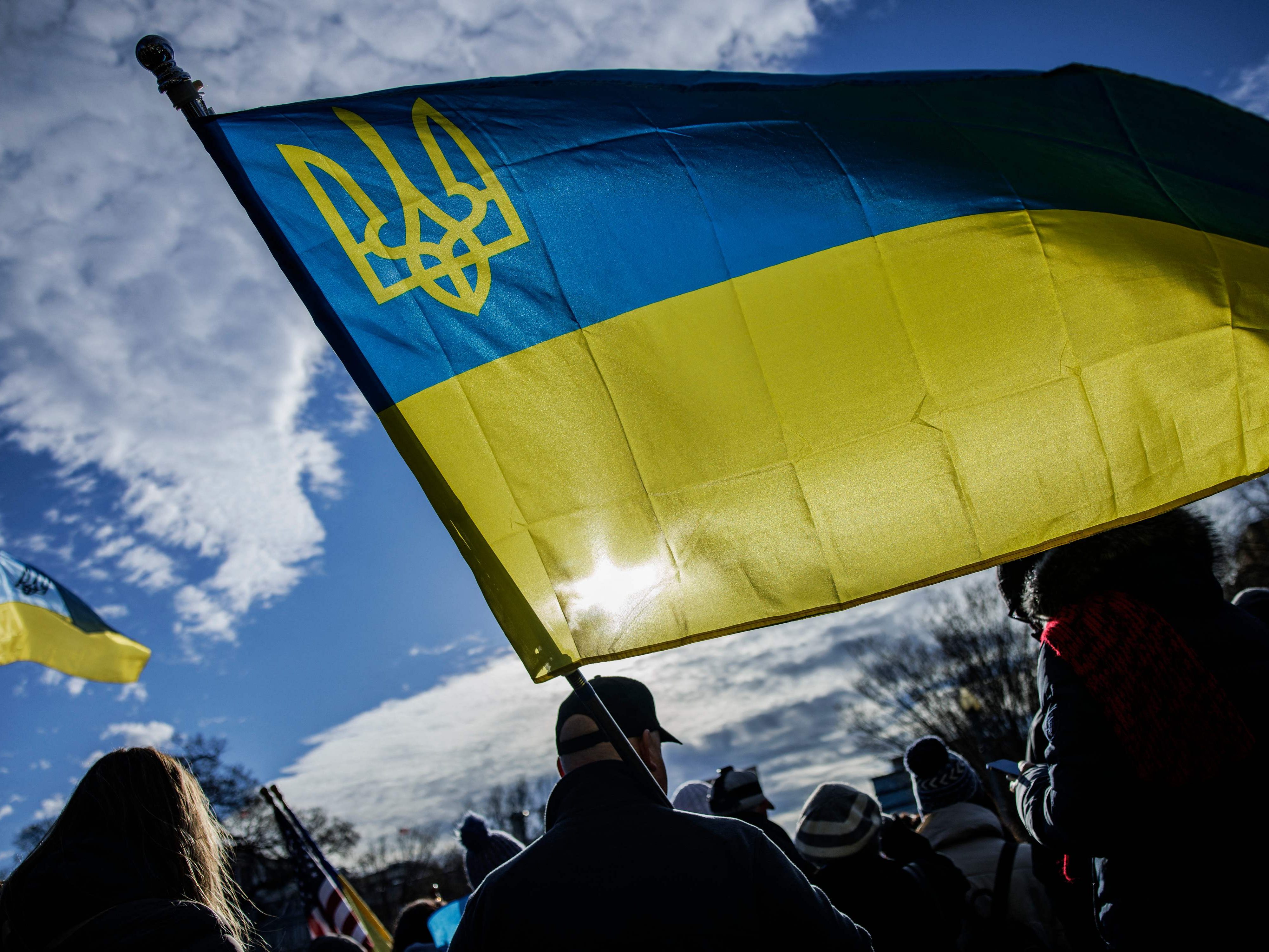 Ukraine: Internationale Petition fordert Militäreingriff des Westens.