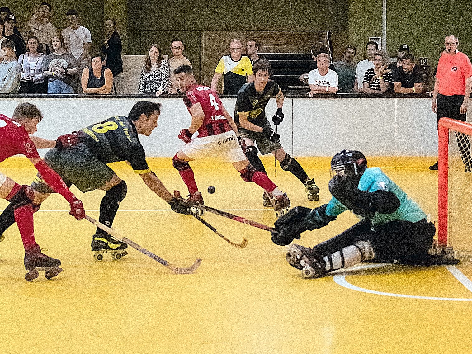 Rollhockey-Fans dürfen sich beim "Ländle El Clásico“ am Samstag auf eine spannende Partie freuen. Rollhockey-Fans dürfen sich beim "Ländle El Clásico“ am Samstag auf eine spannende Partie freuen.
