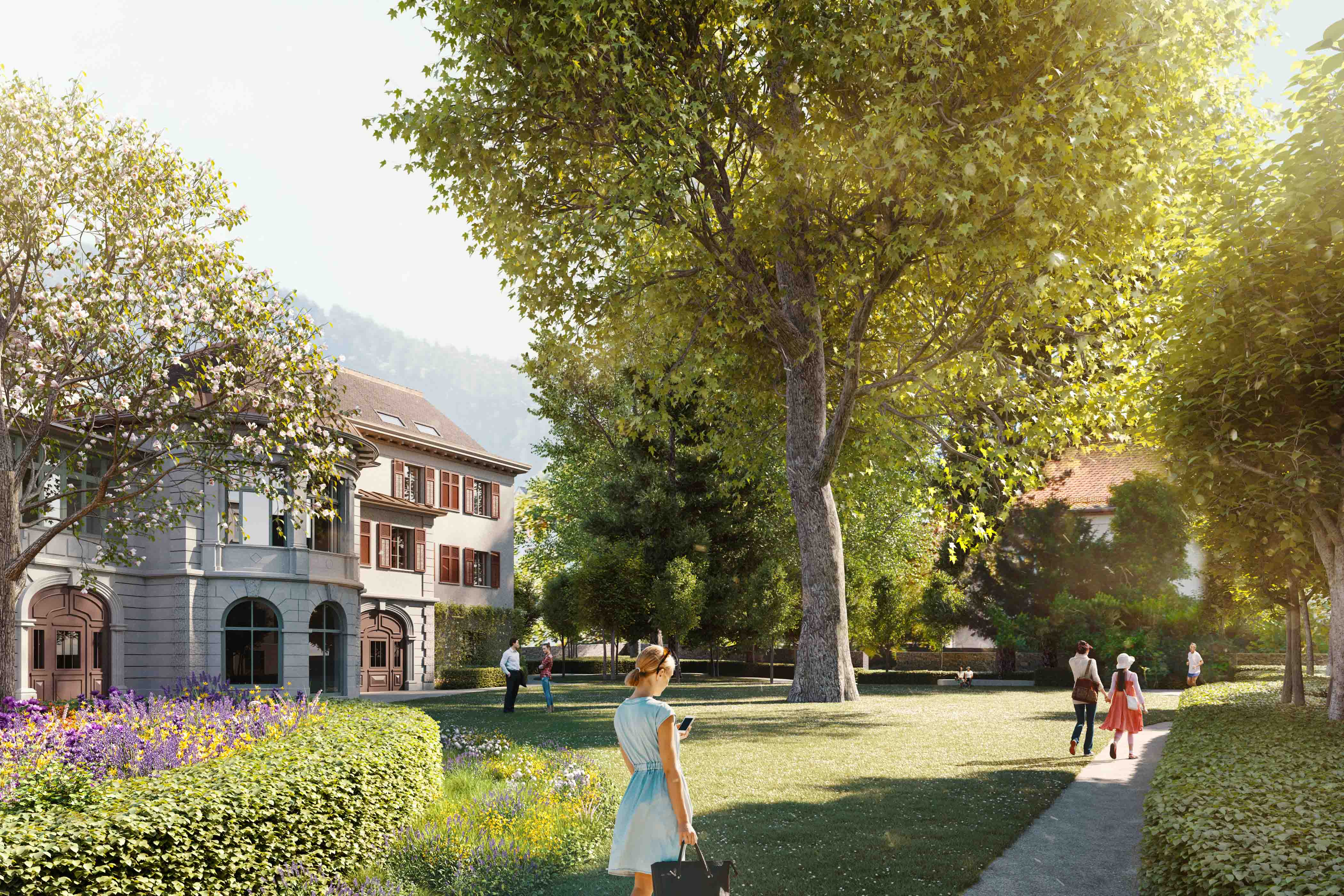 Bestmögliche Erhaltung des alten Baumbestandes Bestmögliche Erhaltung des alten Baumbestandes