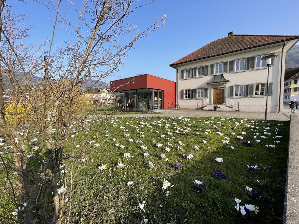 Blumenwiese Hatlerdorf Kirchenbündt Blumenwiese Hatlerdorf Kirchenbündt