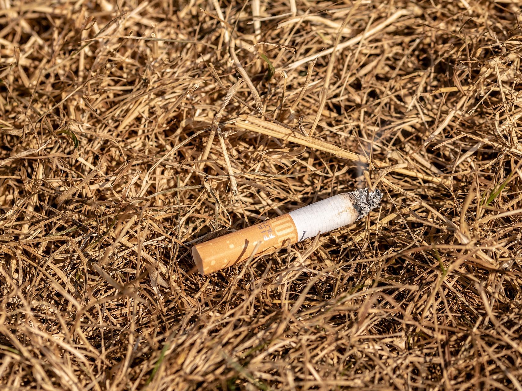 Die Waldbrandgefahr in Niederösterreich ist derzeit hoch. Die Waldbrandgefahr in Niederösterreich ist derzeit hoch.