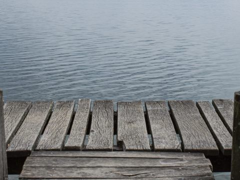 Pensionist starb nach Sturz in Badesee in Niederösterreich.