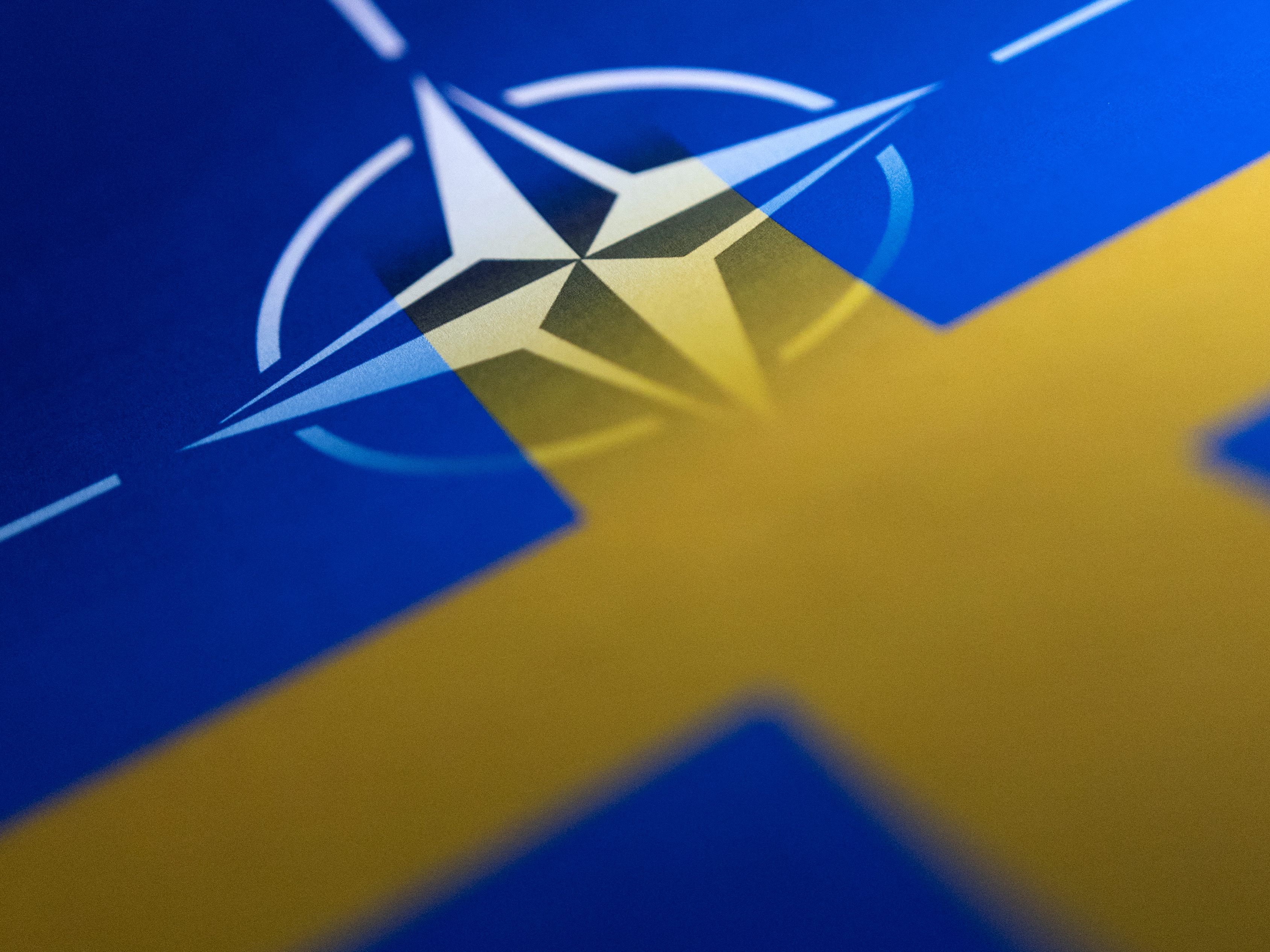 Politologe Heinz Gärtner warnt vor einem NATO-Beitritt Schwedens und Finnlands. Politologe Heinz Gärtner warnt vor einem NATO-Beitritt Schwedens und Finnlands.