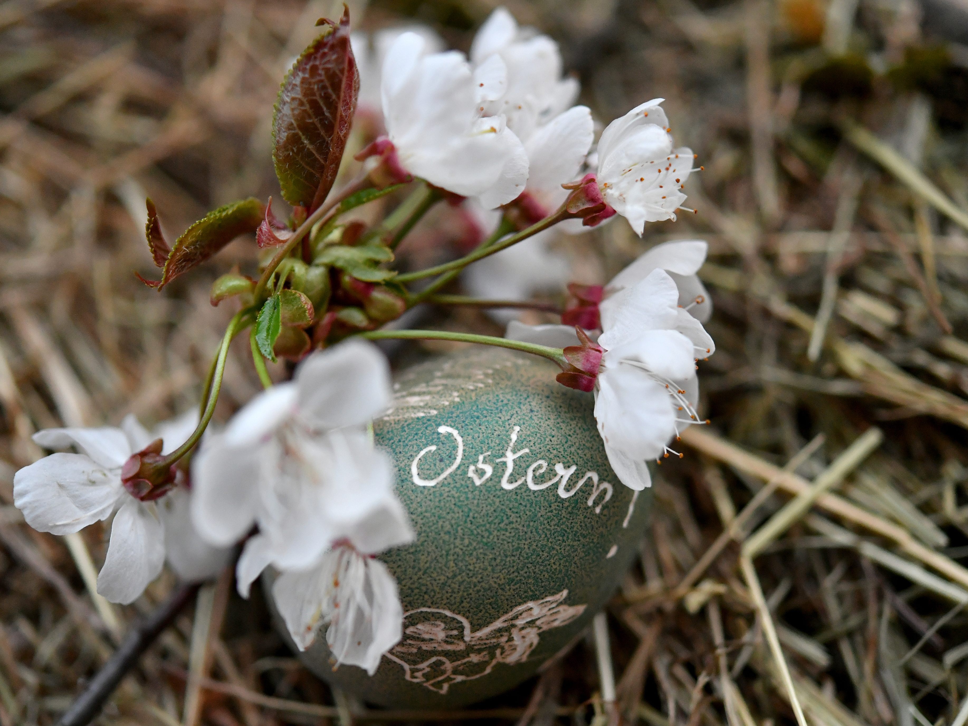 Ostern: Österreicher wollen 50 Euro für Geschenke ausgeben.