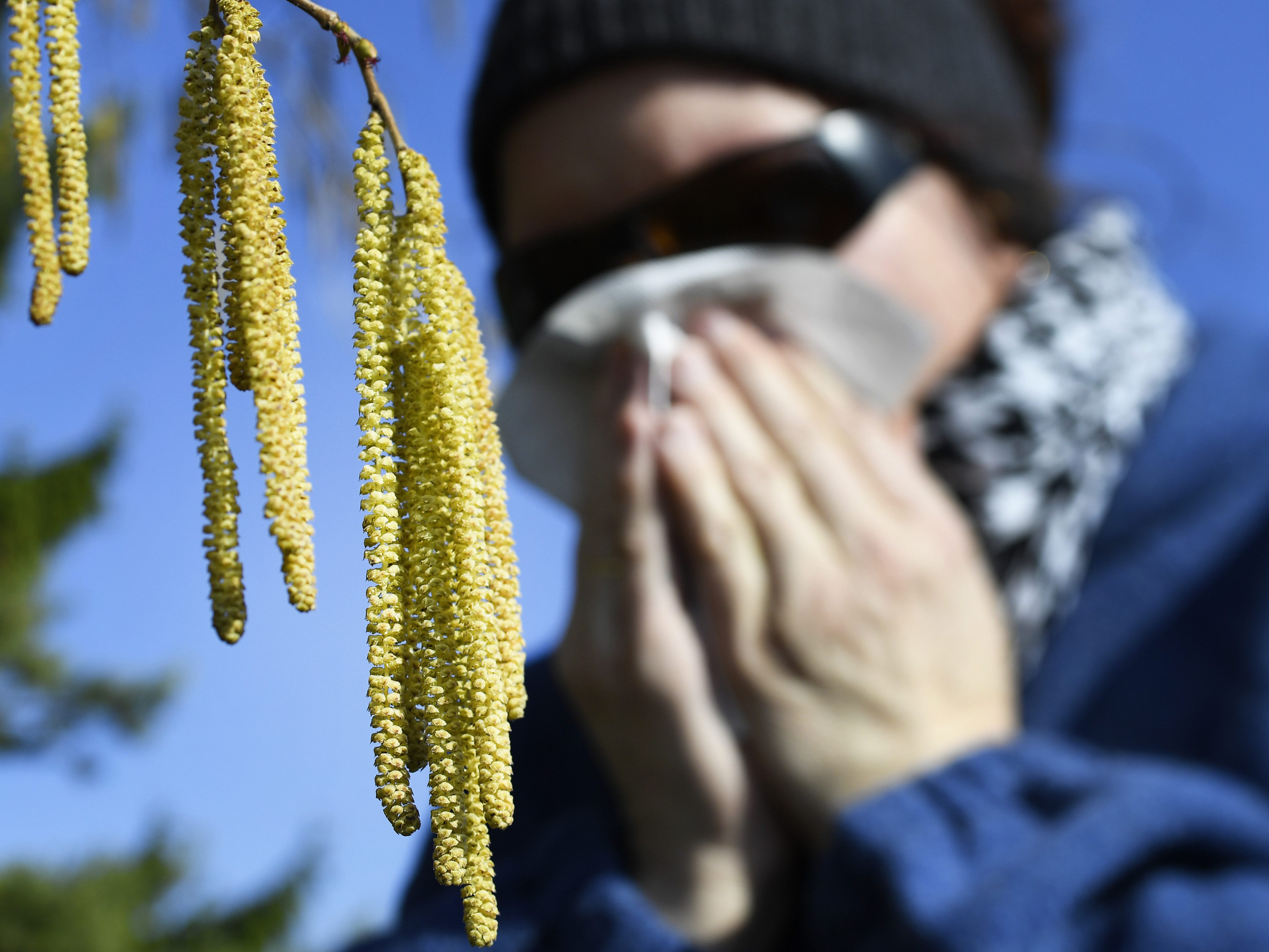 Wer eine Pollenallergie hat, leidet heuer besonders