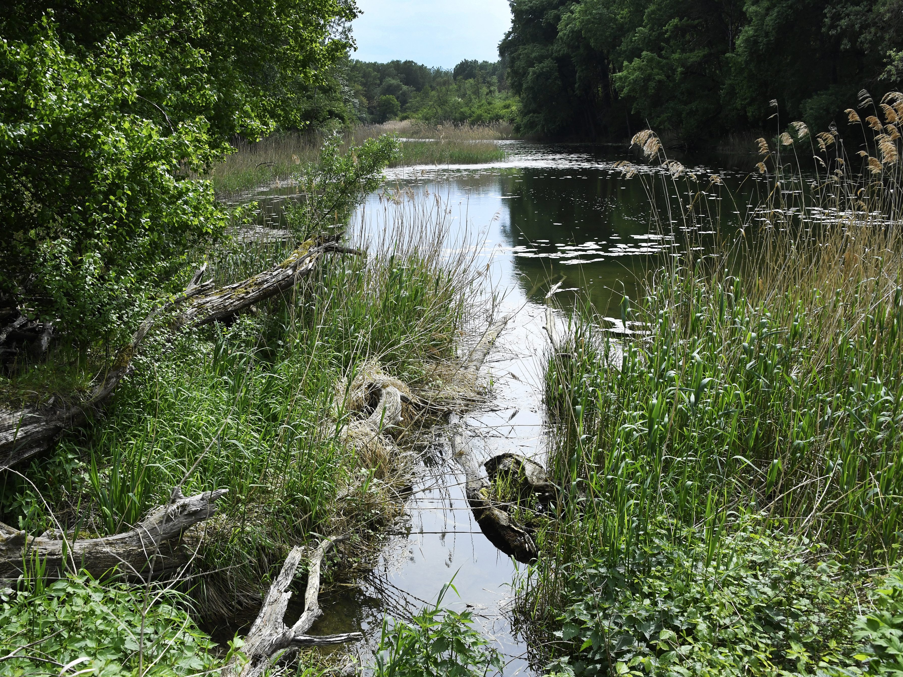 Im Nationalpark Donau-Auen wurde Inventur gemacht