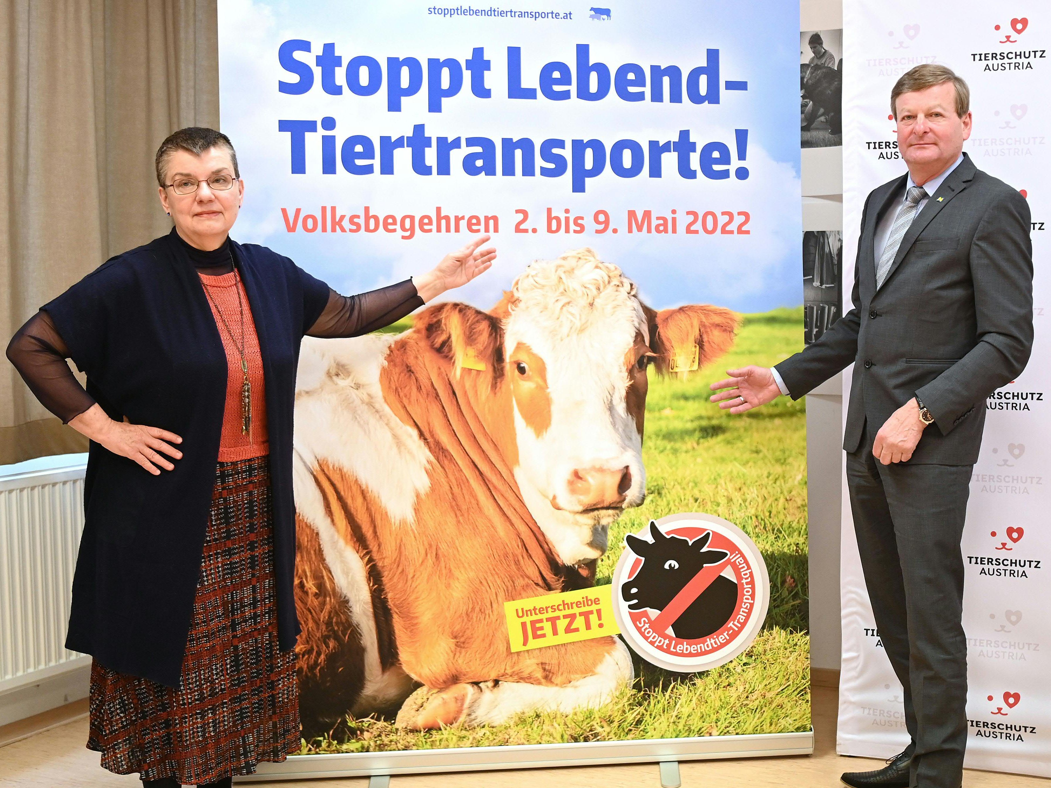 Tierschutz-Austria-Präsidentin Madeleine Petrovic und Niederösterreichs Landesrat Gottfried Waldhäusl (FPÖ) präsentieren das Volksbegehren "Aus für Lebendtiertransporte'" in Vösendorf. Tierschutz-Austria-Präsidentin Madeleine Petrovic und Niederösterreichs Landesrat Gottfried Waldhäusl (FPÖ) präsentieren das Volksbegehren "Aus für Lebendtiertransporte'" in Vösendorf.