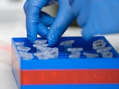 In Niederösterreich wurden am Dienstag 1.359 Corona-Neuinfektionen gemeldet. In Niederösterreich wurden am Dienstag 1.359 Corona-Neuinfektionen gemeldet.