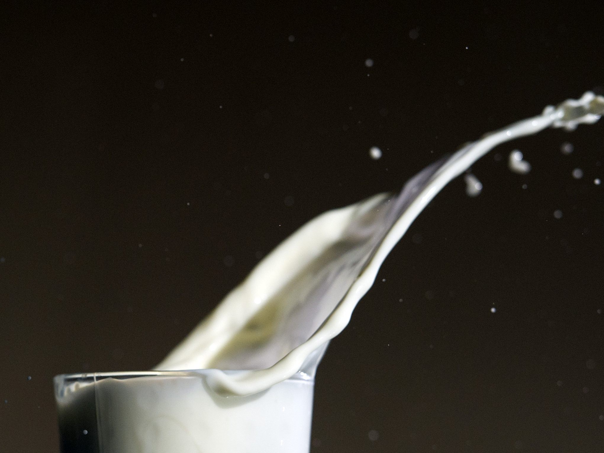 NÖM warnt vor steigenden Milchpreisen und Lieferstopps