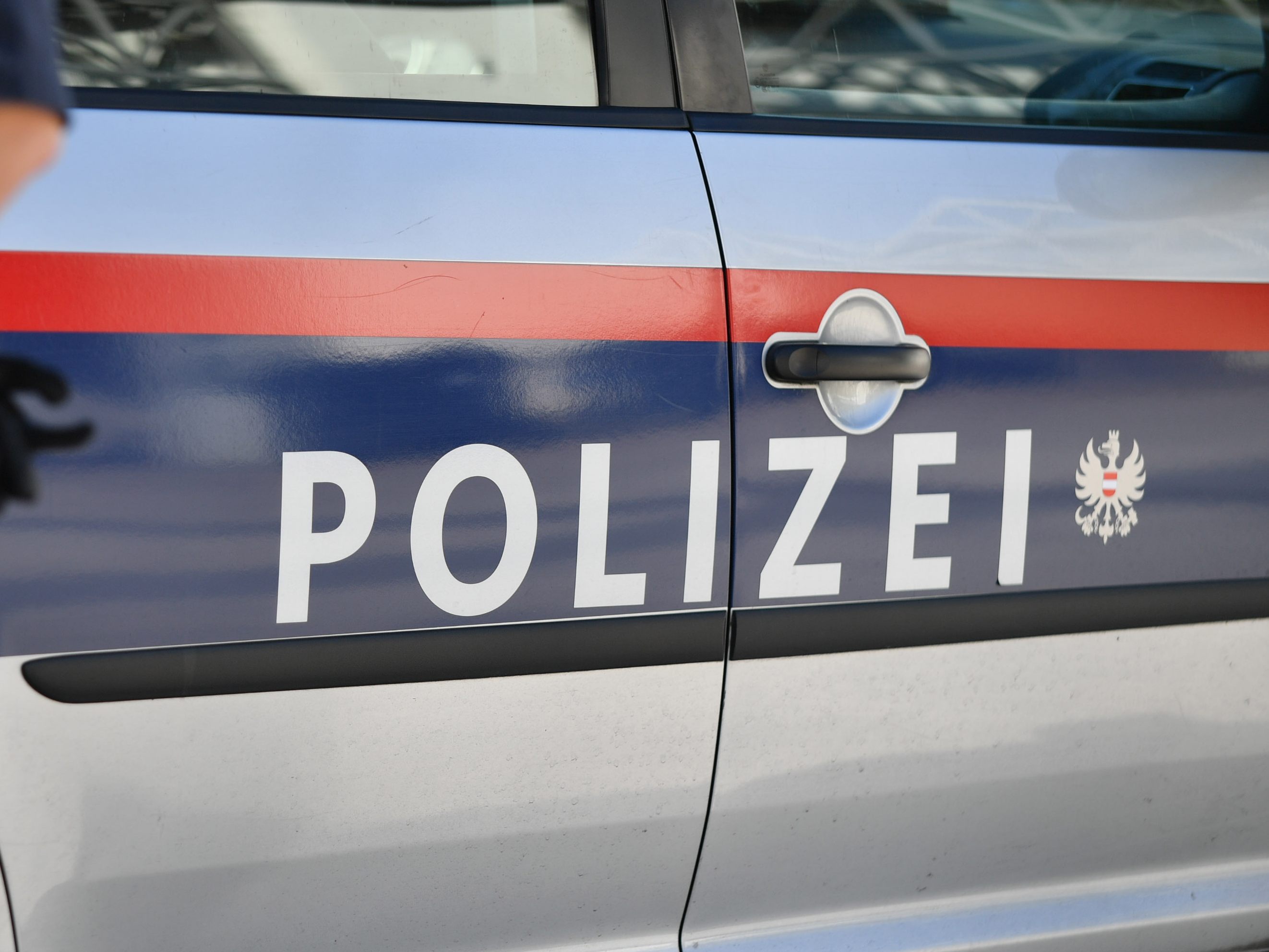 Die Polizei ermittelt gegen ein Pärchen, dass Kunstwerke und Schmuck von Niederösterreicherin gestohlen haben soll.