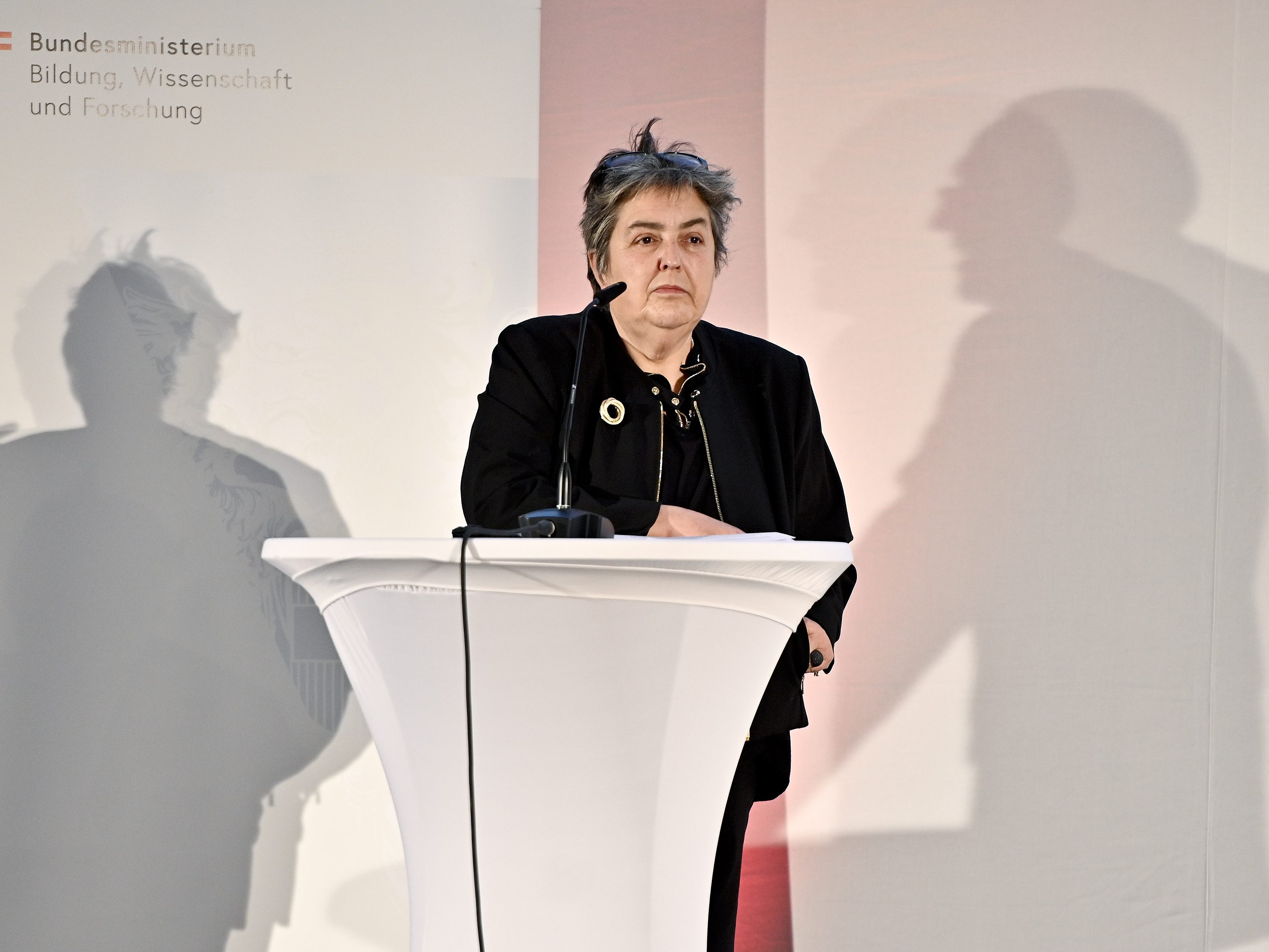 Eva Blimlinger würde den Innenhof des Alten AKHs in Wien-Alsergrund für einen Gedenkort bevorzugen. Zahlreiche Roma und Sinti wurden während der NS-Diktatur ermordet. Eva Blimlinger würde den Innenhof des Alten AKHs in Wien-Alsergrund für einen Gedenkort bevorzugen. Zahlreiche Roma und Sinti wurden während der NS-Diktatur ermordet.