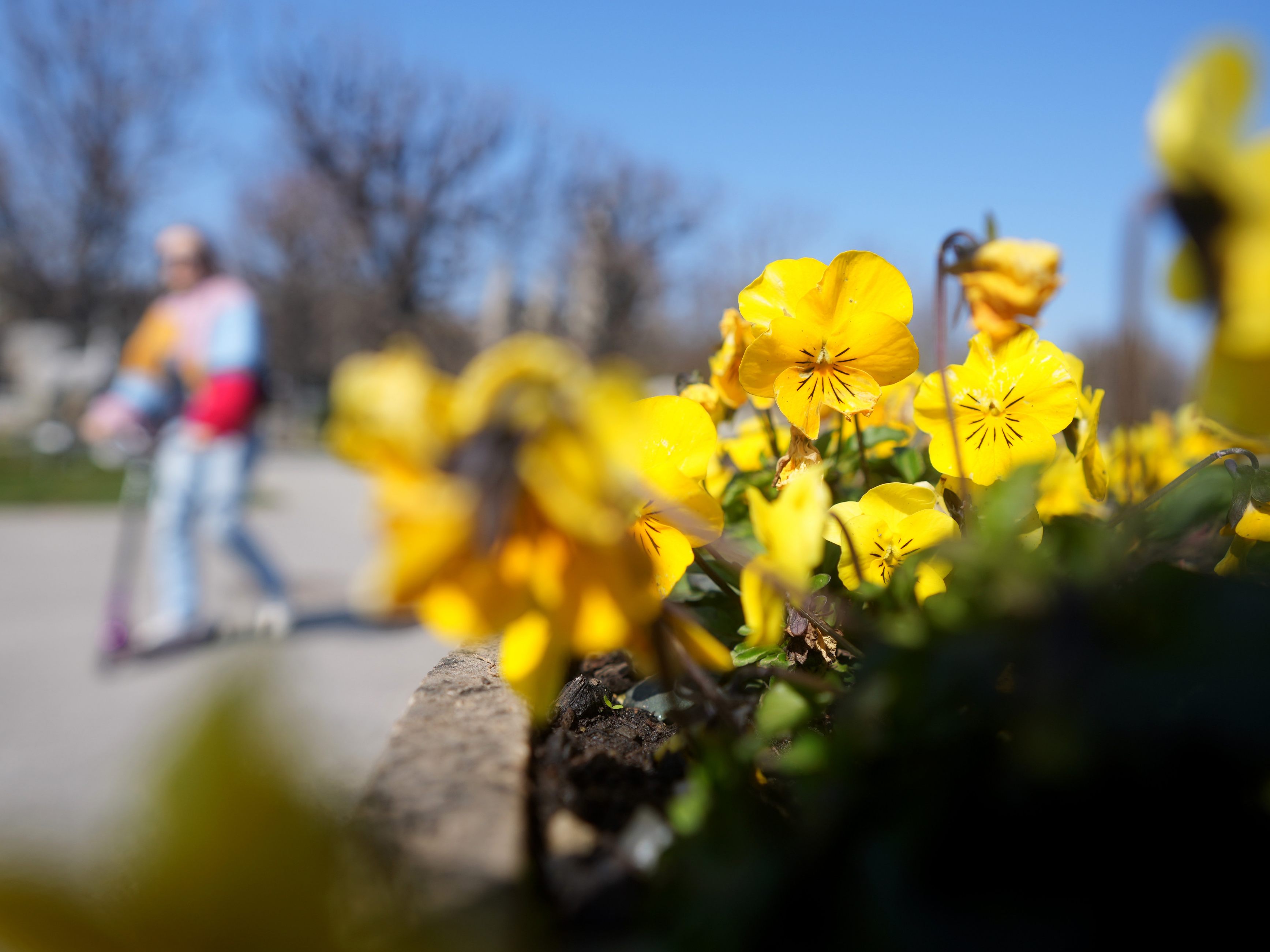 Das Wetter in der Karwoche wird sonnig und warm. Das Wetter in der Karwoche wird sonnig und warm.