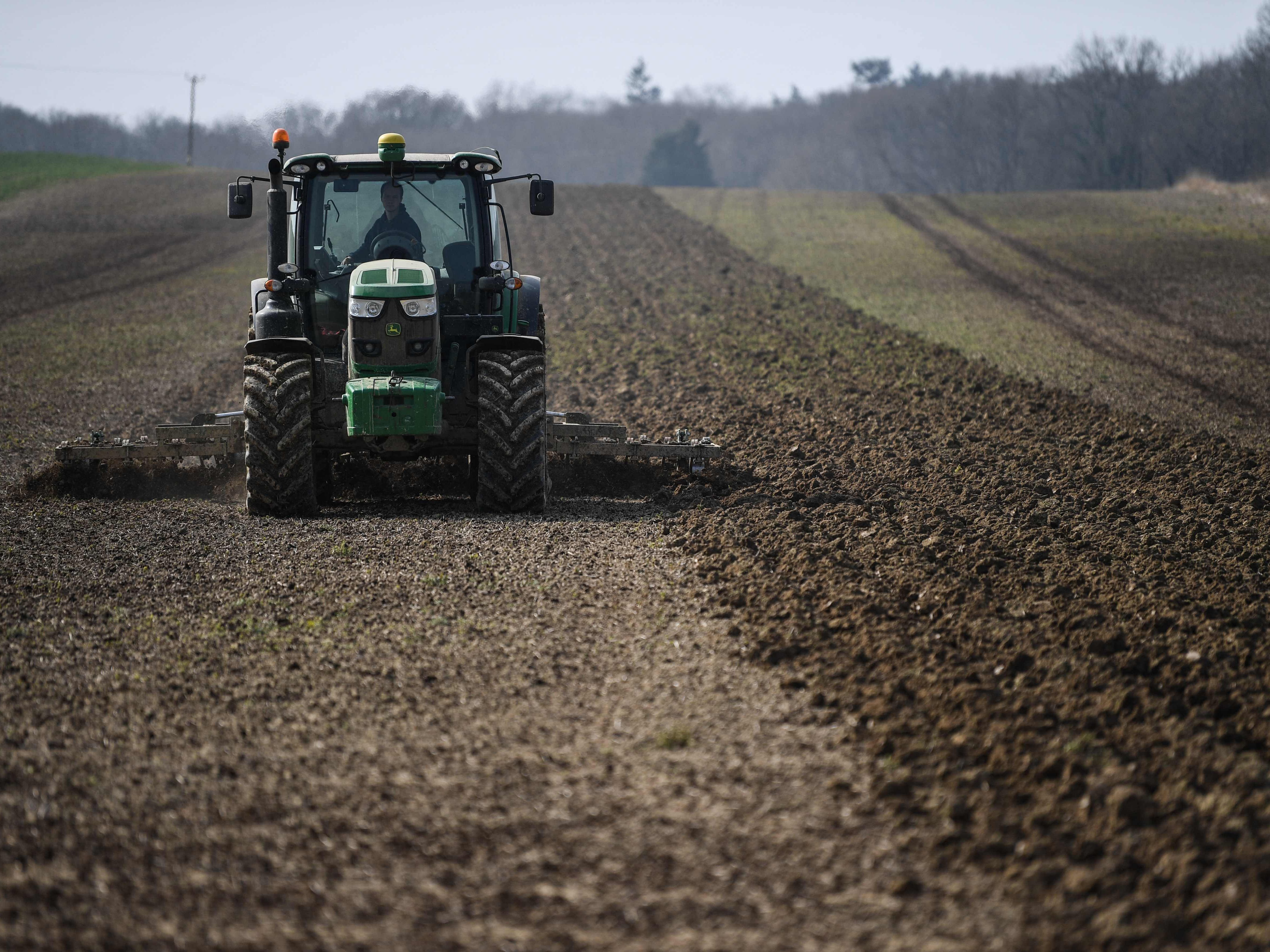 Die Schwarzarbeit in Österreichs Landwirtschaft ist gestiegen.