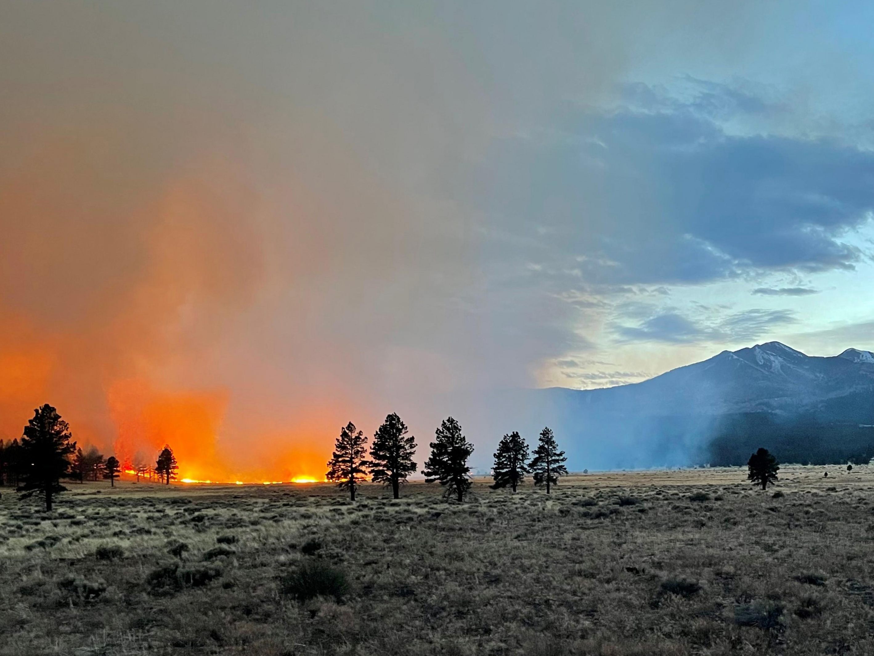 Feuerwehr in Arizona sieht keine Chance im Kampf gegen Waldbrände.