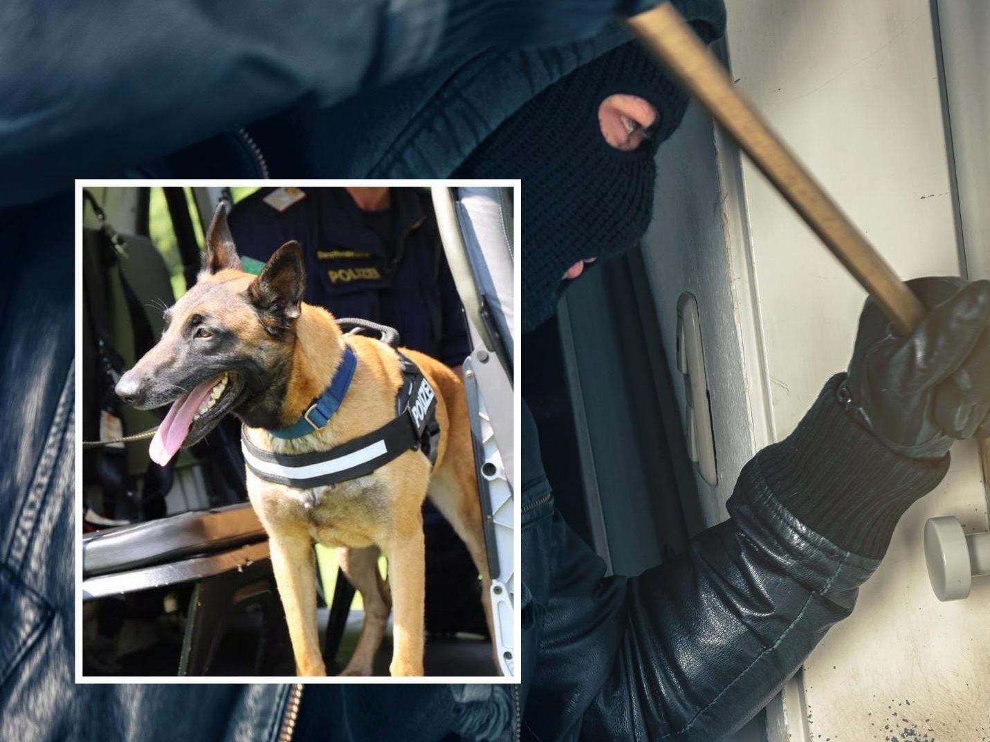 Der Einbrecher konnte festgenommen werden.