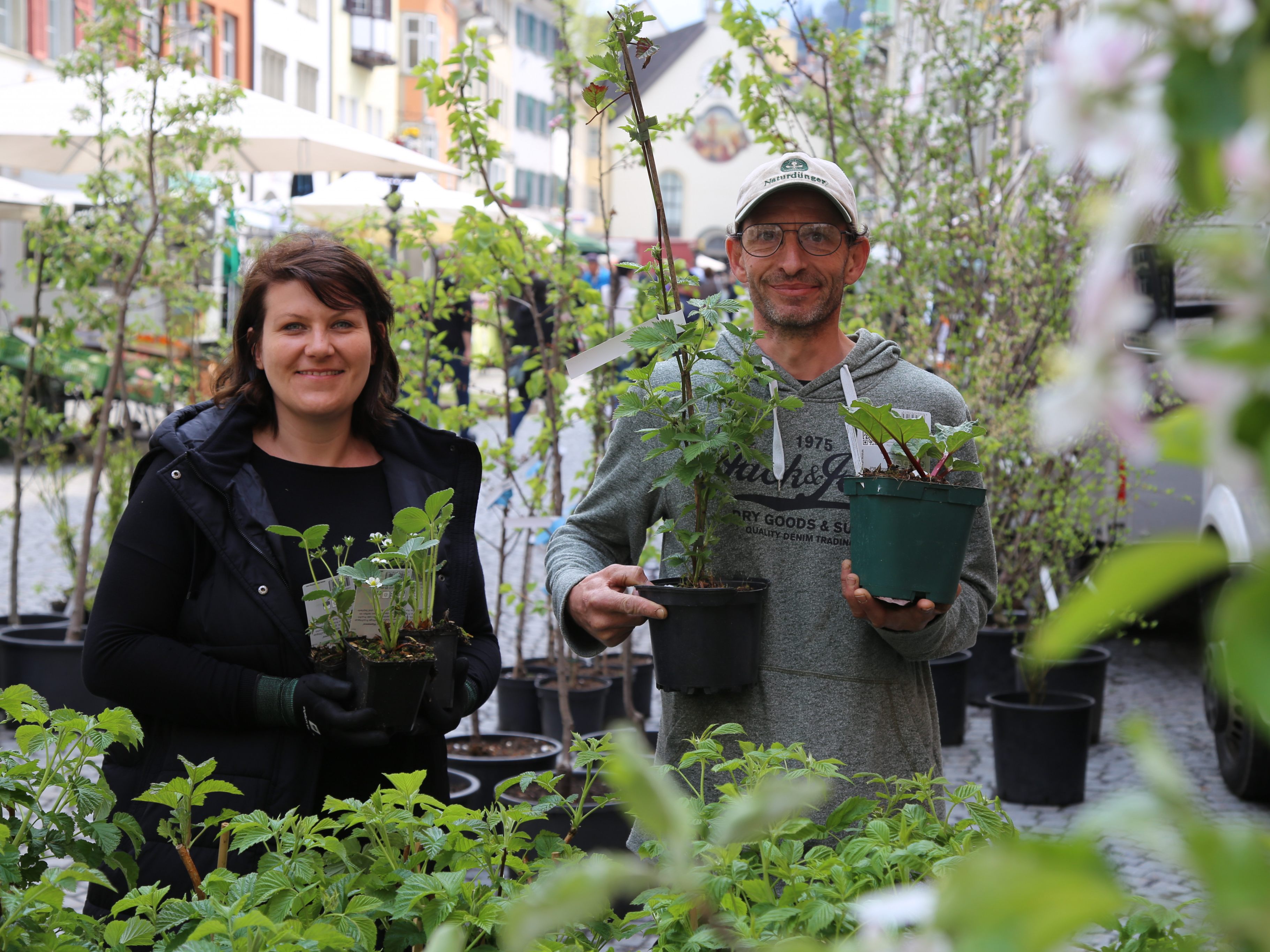 Traditioneller Obstbaum-Markt am Karfreitag in der Innenstadt. Traditioneller Obstbaum-Markt am Karfreitag in der Innenstadt.