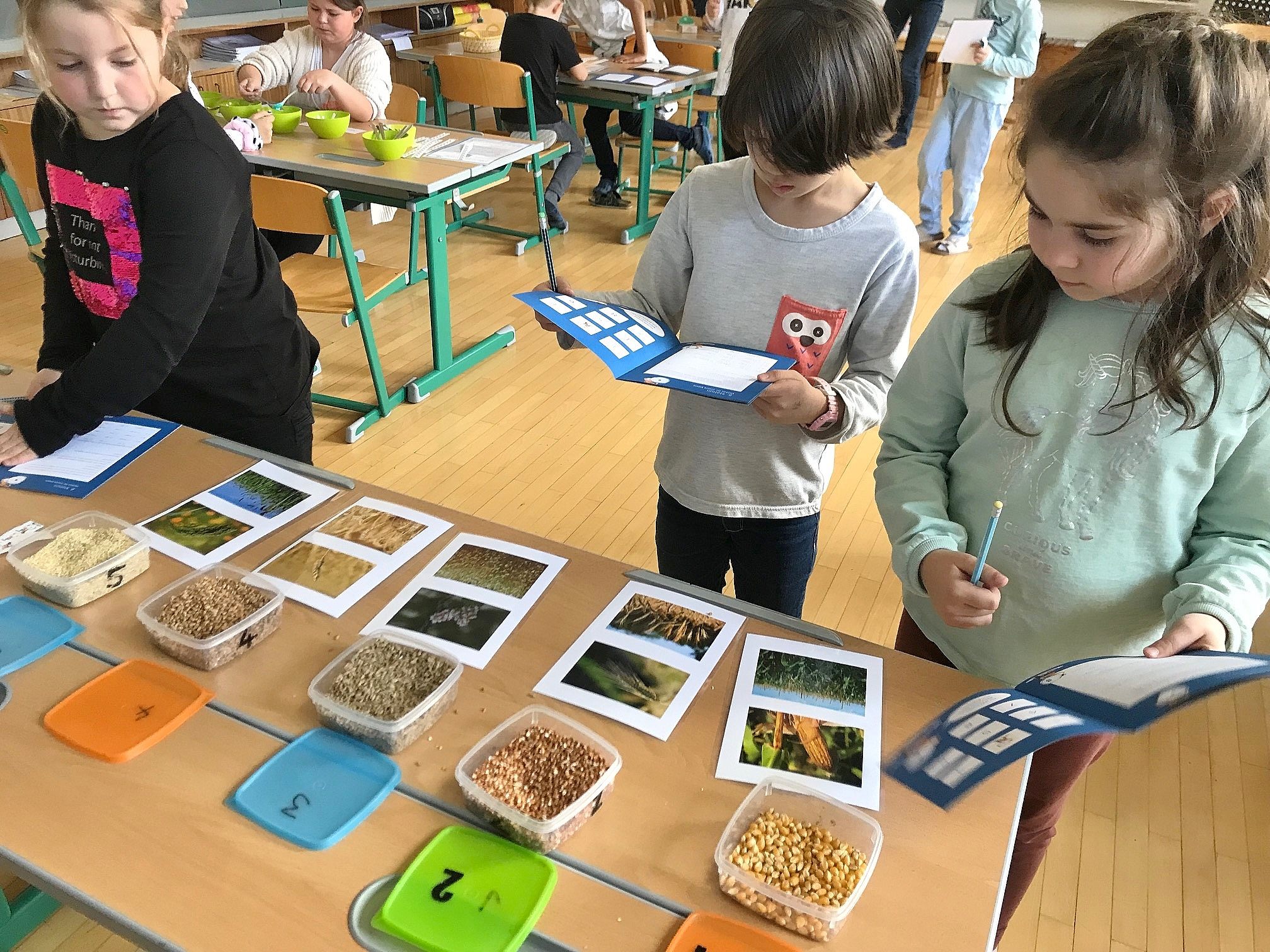 Die kleinen Genuss-Detektive von der VS Leopold hatten eine Menge Spaß beim Ernährungsquiz. Die kleinen Genuss-Detektive von der VS Leopold hatten eine Menge Spaß beim Ernährungsquiz.