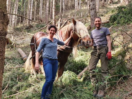 Stadträtin Martina Brandstetter mit Holzakkordanten Peter Erath und Hengst Tonio Stadträtin Martina Brandstetter mit Holzakkordanten Peter Erath und Hengst Tonio