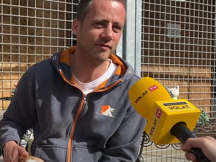 Tierpflegeleiter Marco Milohnic im Gespräch mit VOL.AT. Tierpflegeleiter Marco Milohnic im Gespräch mit VOL.AT.