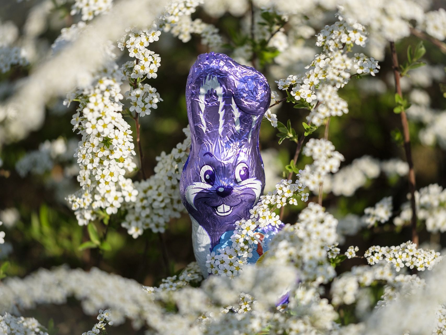 Zu Ostern darf Schokolade nicht fehlen - etwa in Form von Osterhasen und Ostereiern Zu Ostern darf Schokolade nicht fehlen - etwa in Form von Osterhasen und Ostereiern