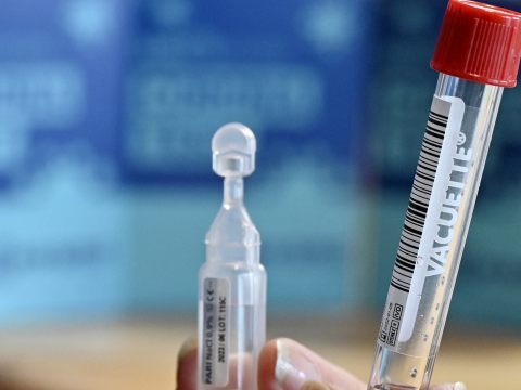 In dieser Woche mehr positive PCR-Tests an Schulen. In dieser Woche mehr positive PCR-Tests an Schulen.