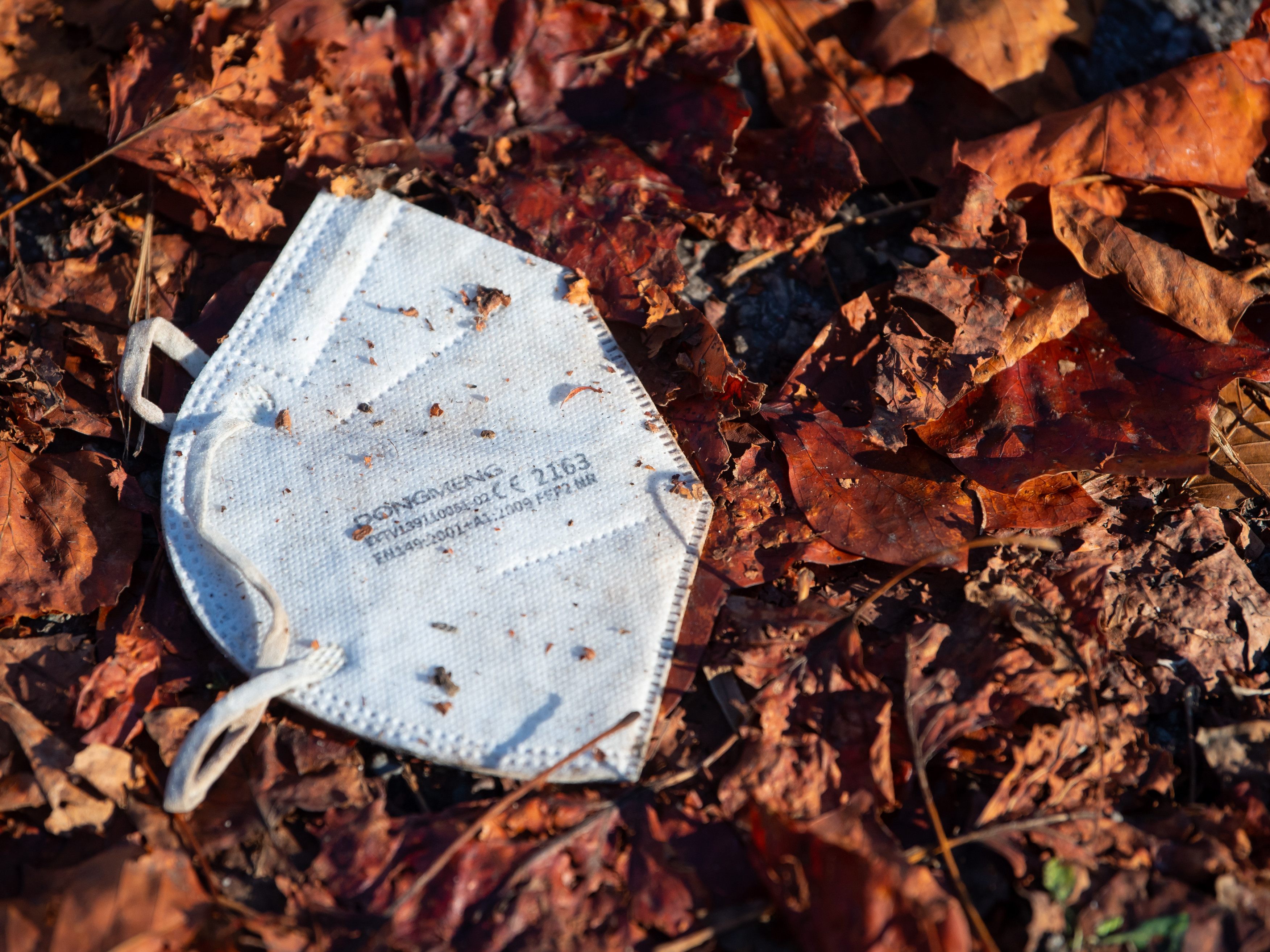 Corona-Experten fordern Vorbereitung für den Herbst.