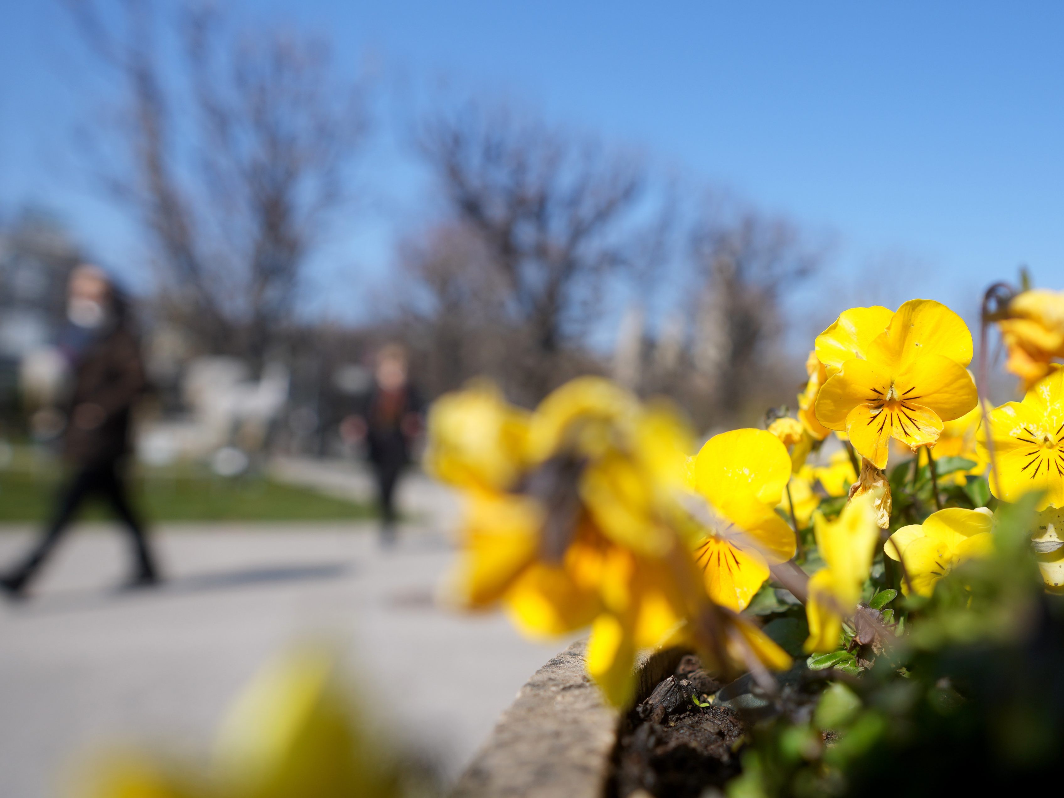2022 war der Frühling überdurchschnittlich warm in Österreich.