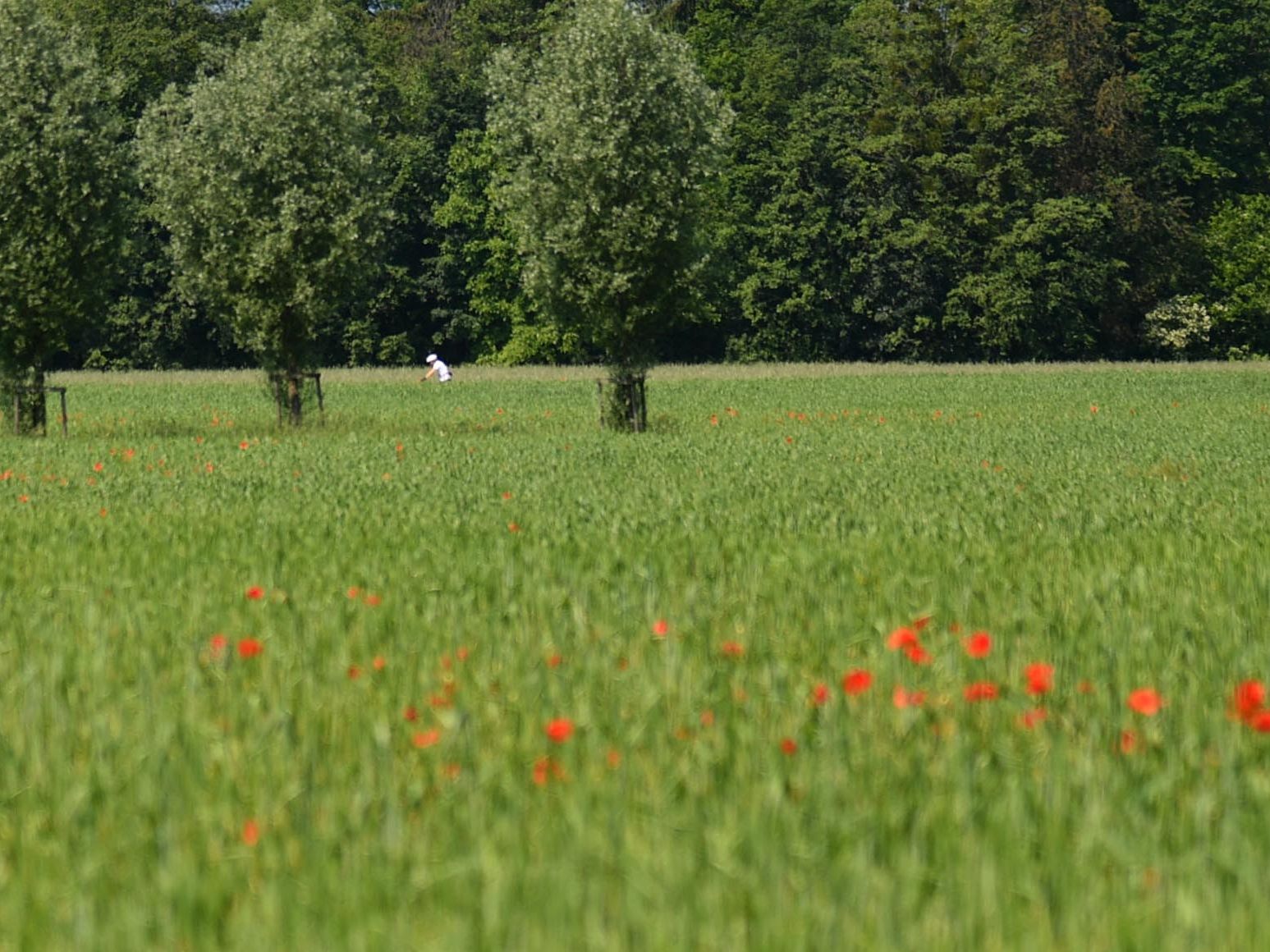 Wie wird das Wetter in der neuen Woche?