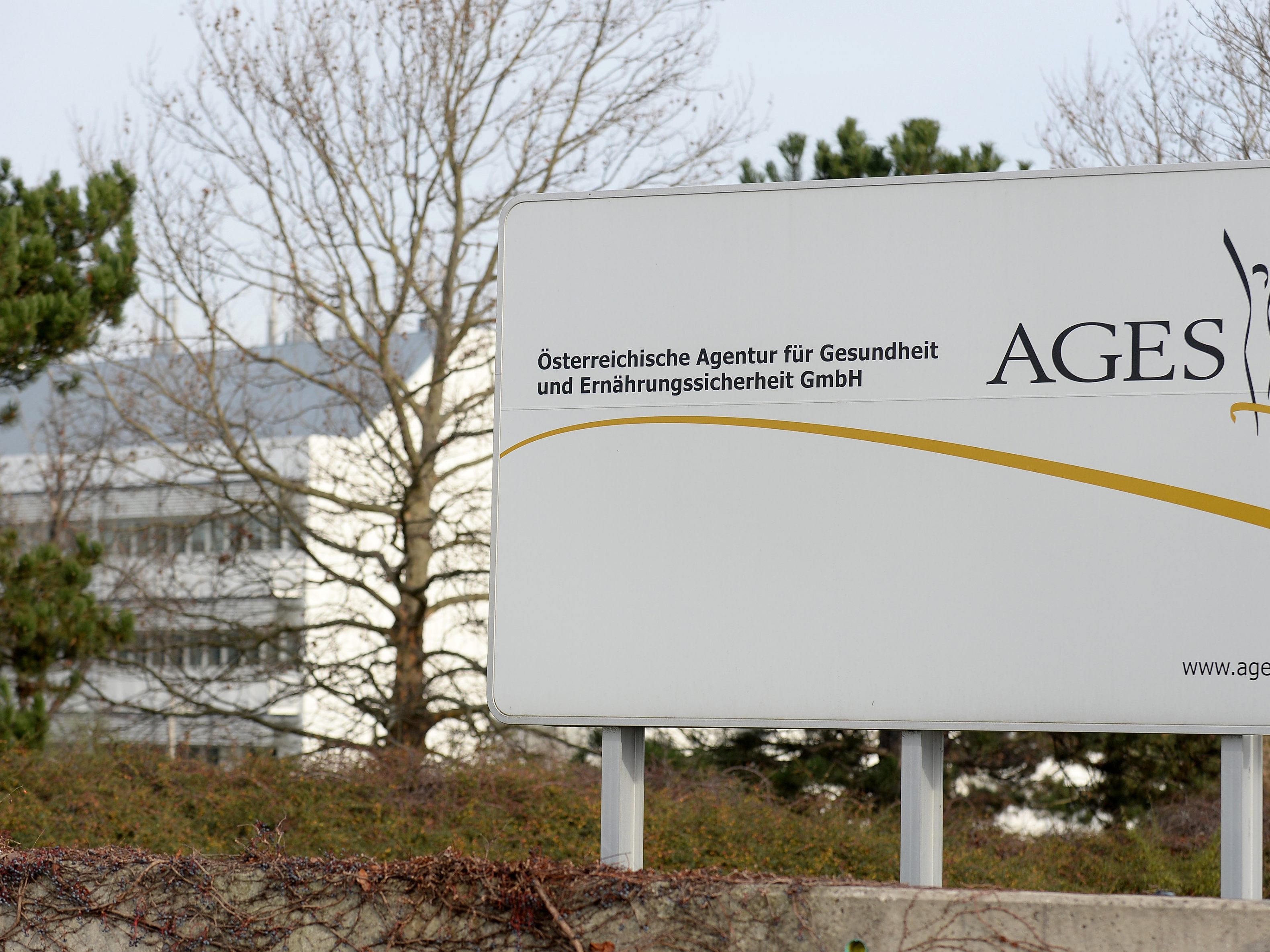 AGES: Großteil der Betroffenen Kinder. AGES: Großteil der Betroffenen Kinder.