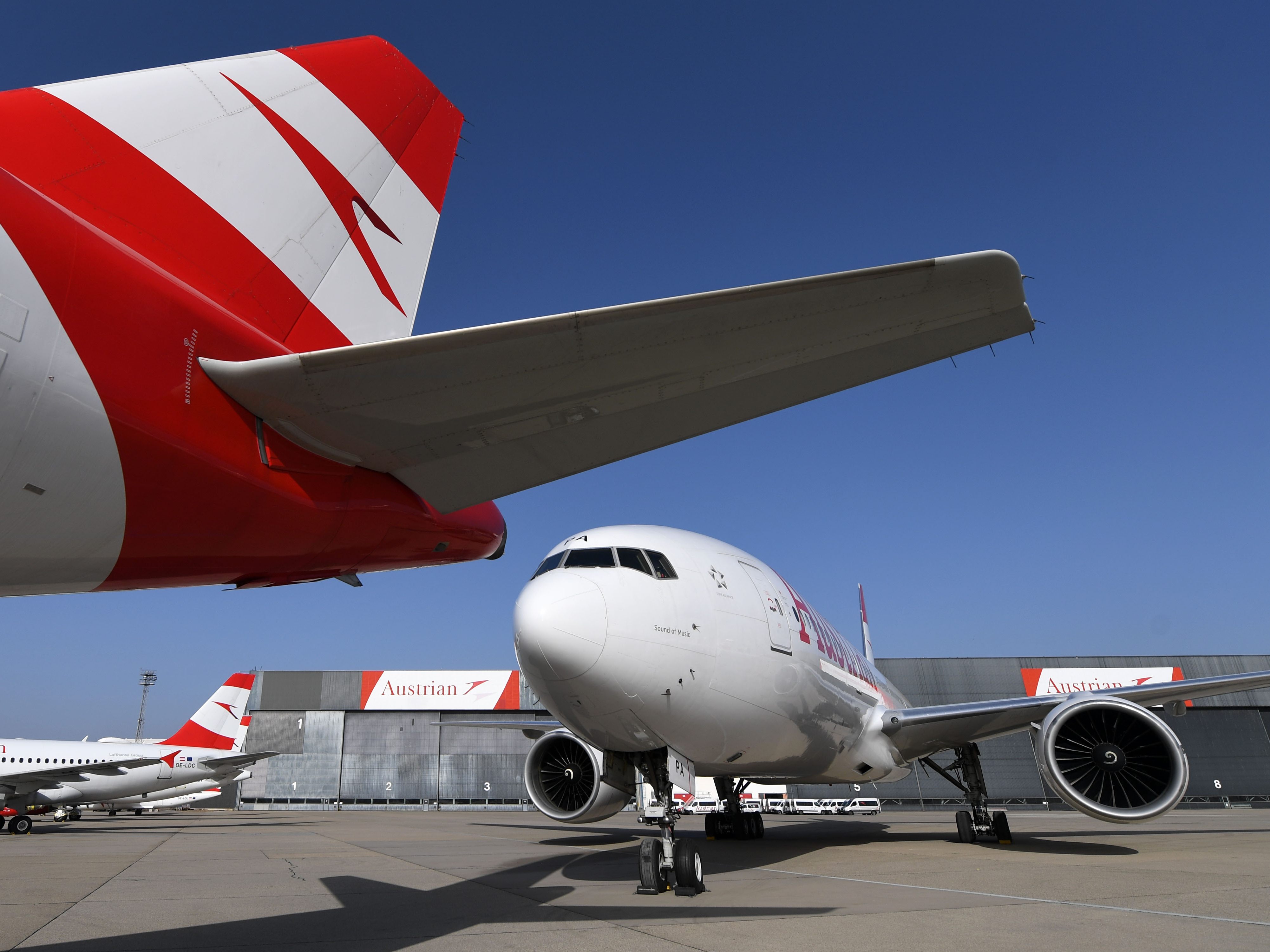Der Flughafen Wien habe bereits eine Auslastung von 80 Prozent. Der Flughafen Wien habe bereits eine Auslastung von 80 Prozent.