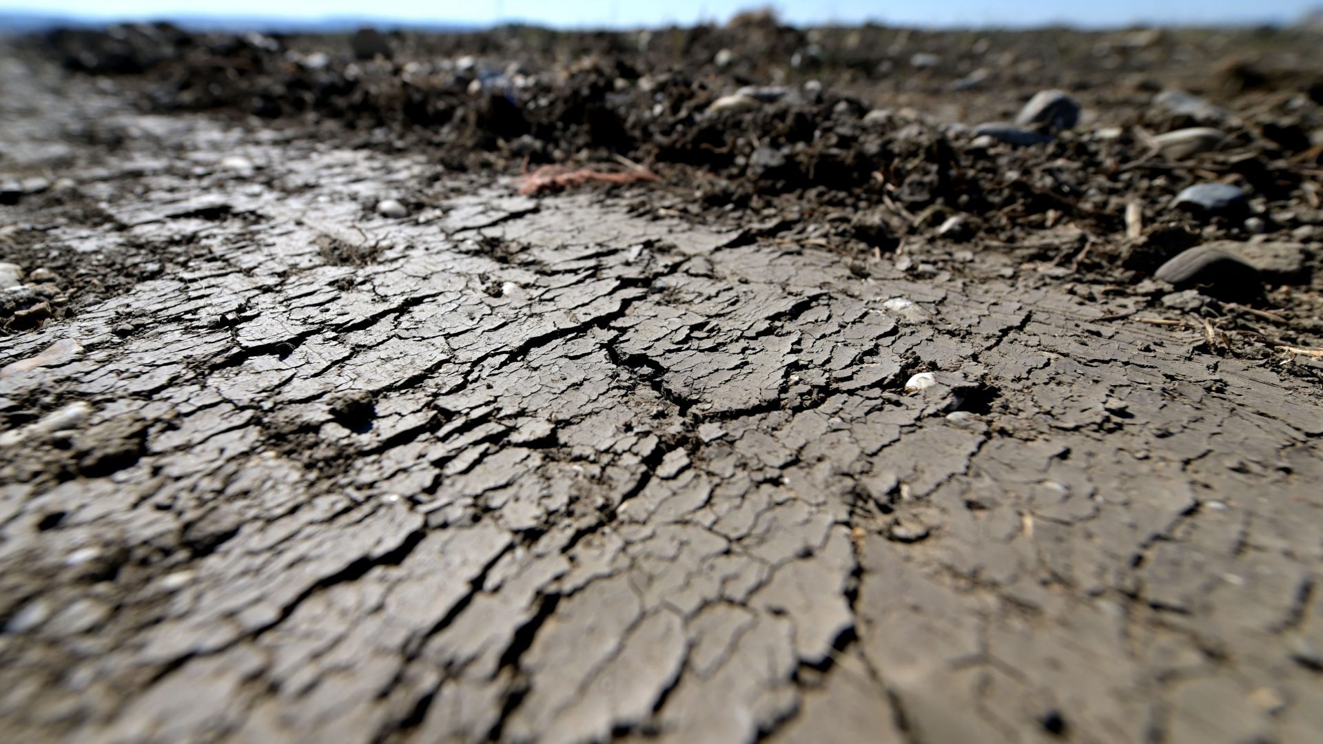 Micaela Schäfer präsentiert heißen Erotik-Kalender 2012 - Sexy national