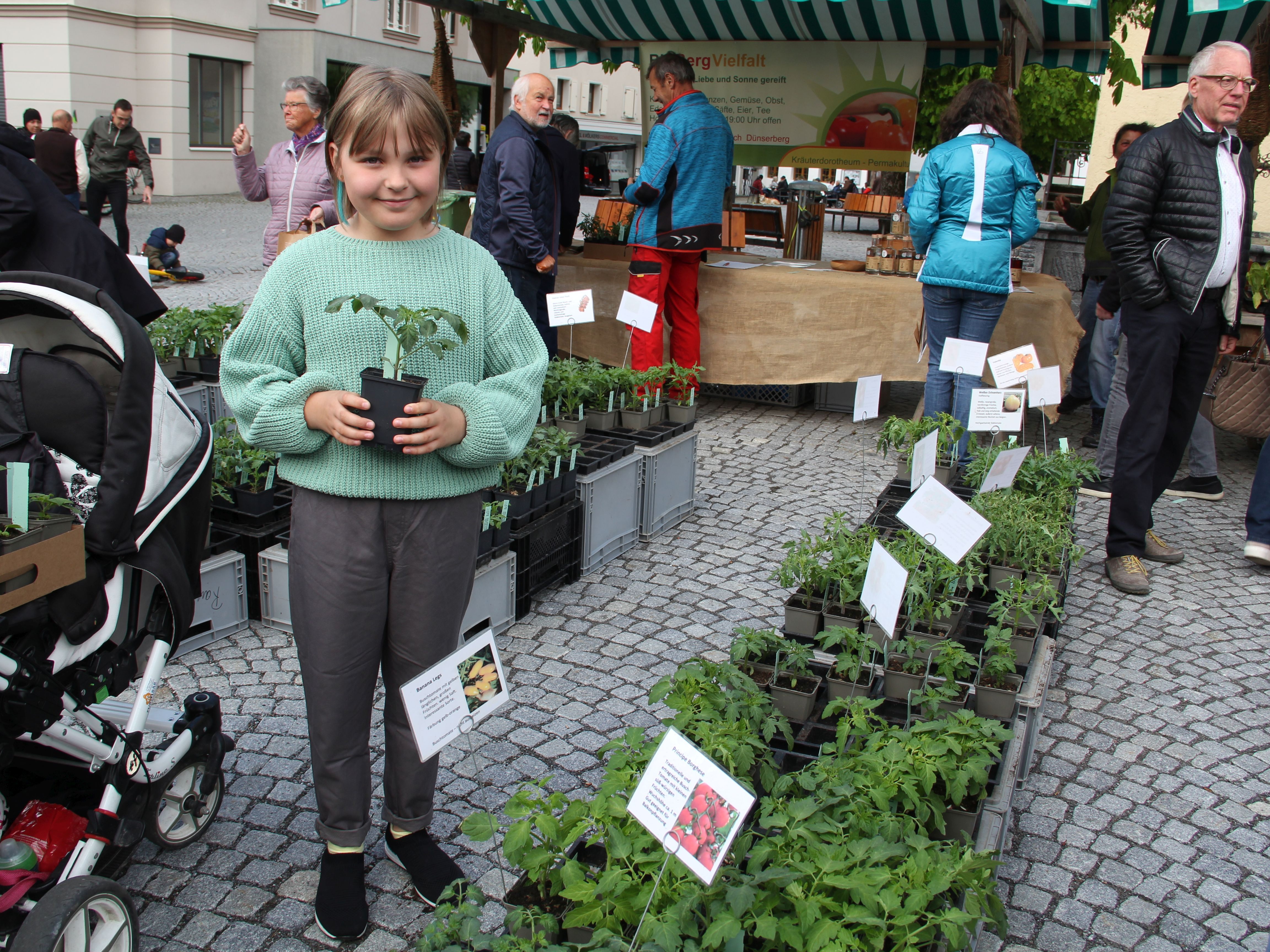 Beim Bio-Jung-Pflanzenmarkt herrschte am Wochenende reges Interesse.