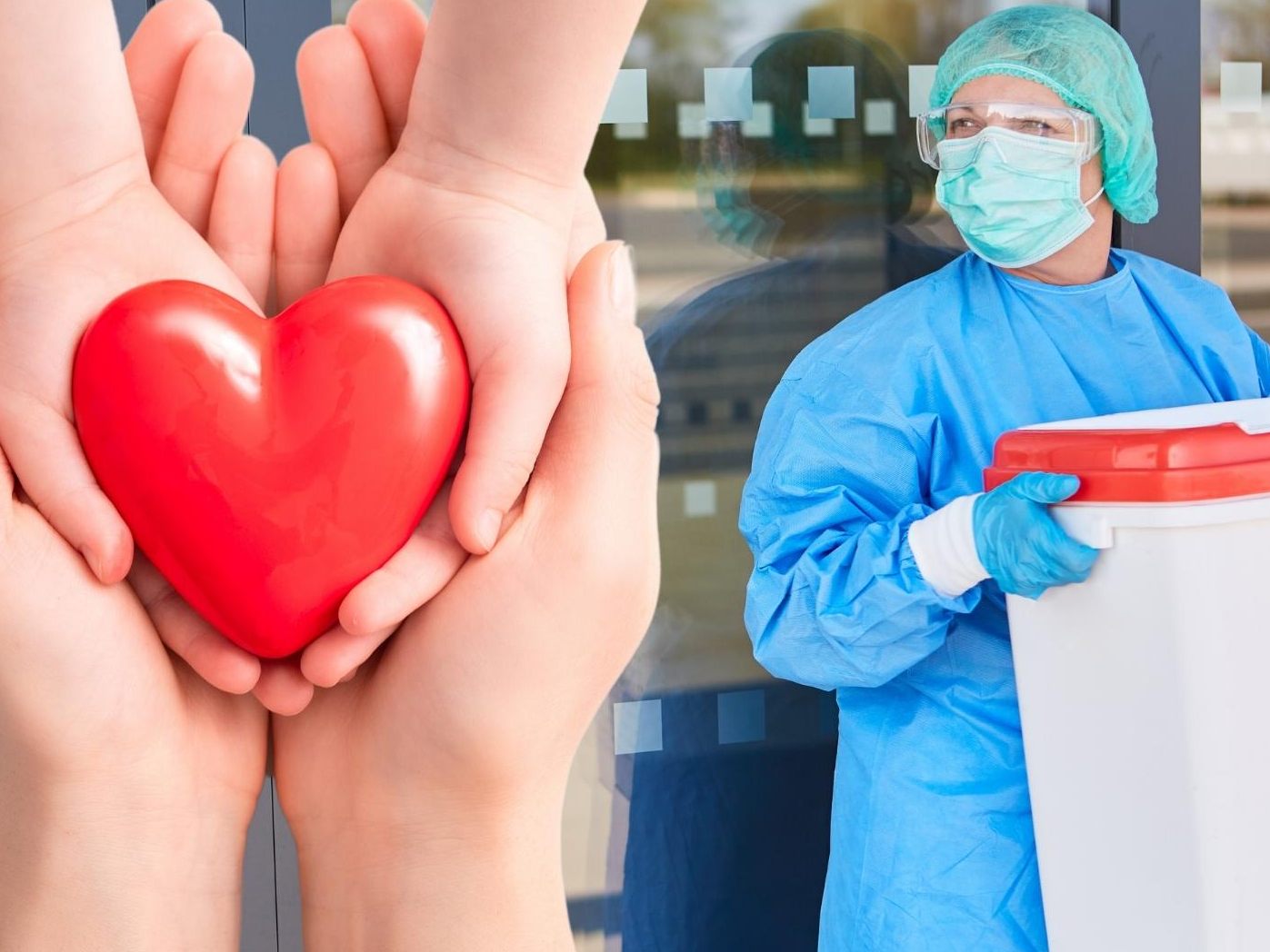 Zahl der Organtransplantationen gesunken Zahl der Organtransplantationen gesunken