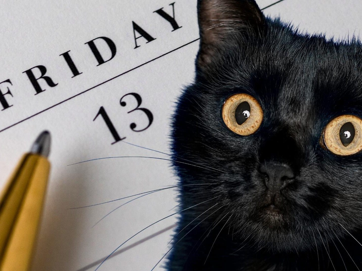 Heute ist Freitag, der 13.