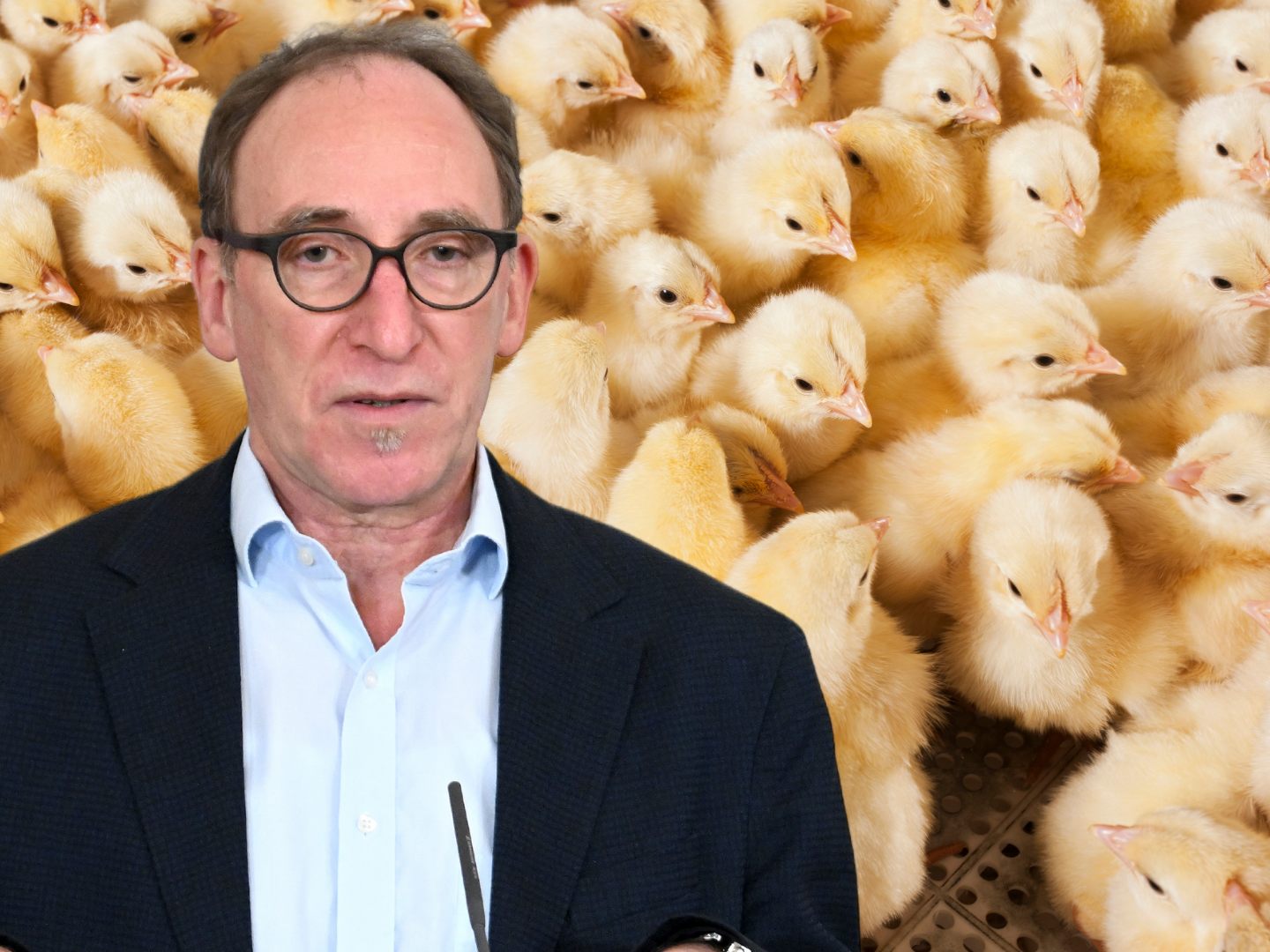 Neues Tierschutzgesetz präsentiert