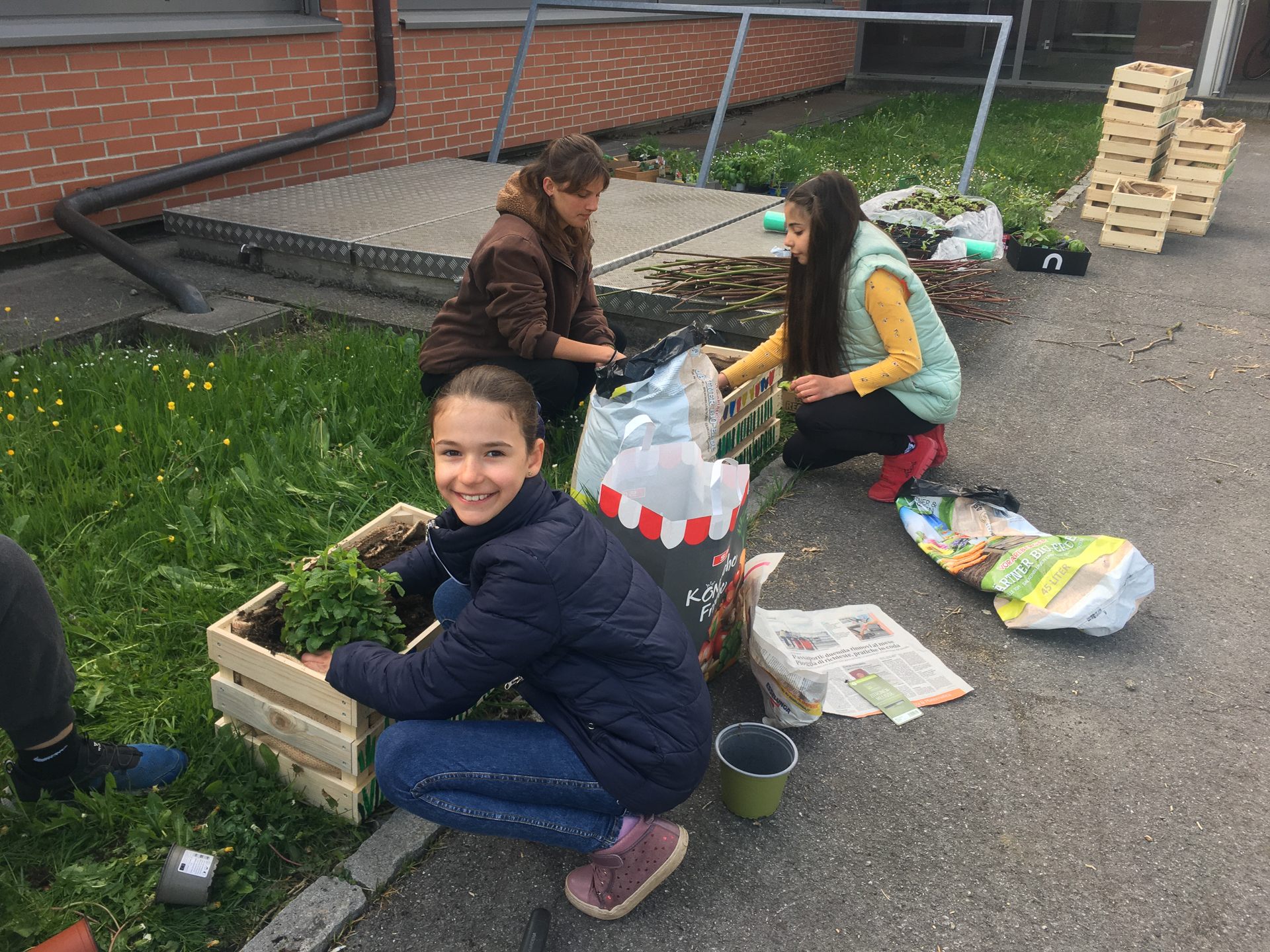 Schüler der Volksschule Hasenfeld haben ihren eigenen kleinen Garten in Kisten gebaut. Schüler der Volksschule Hasenfeld haben ihren eigenen kleinen Garten in Kisten gebaut.