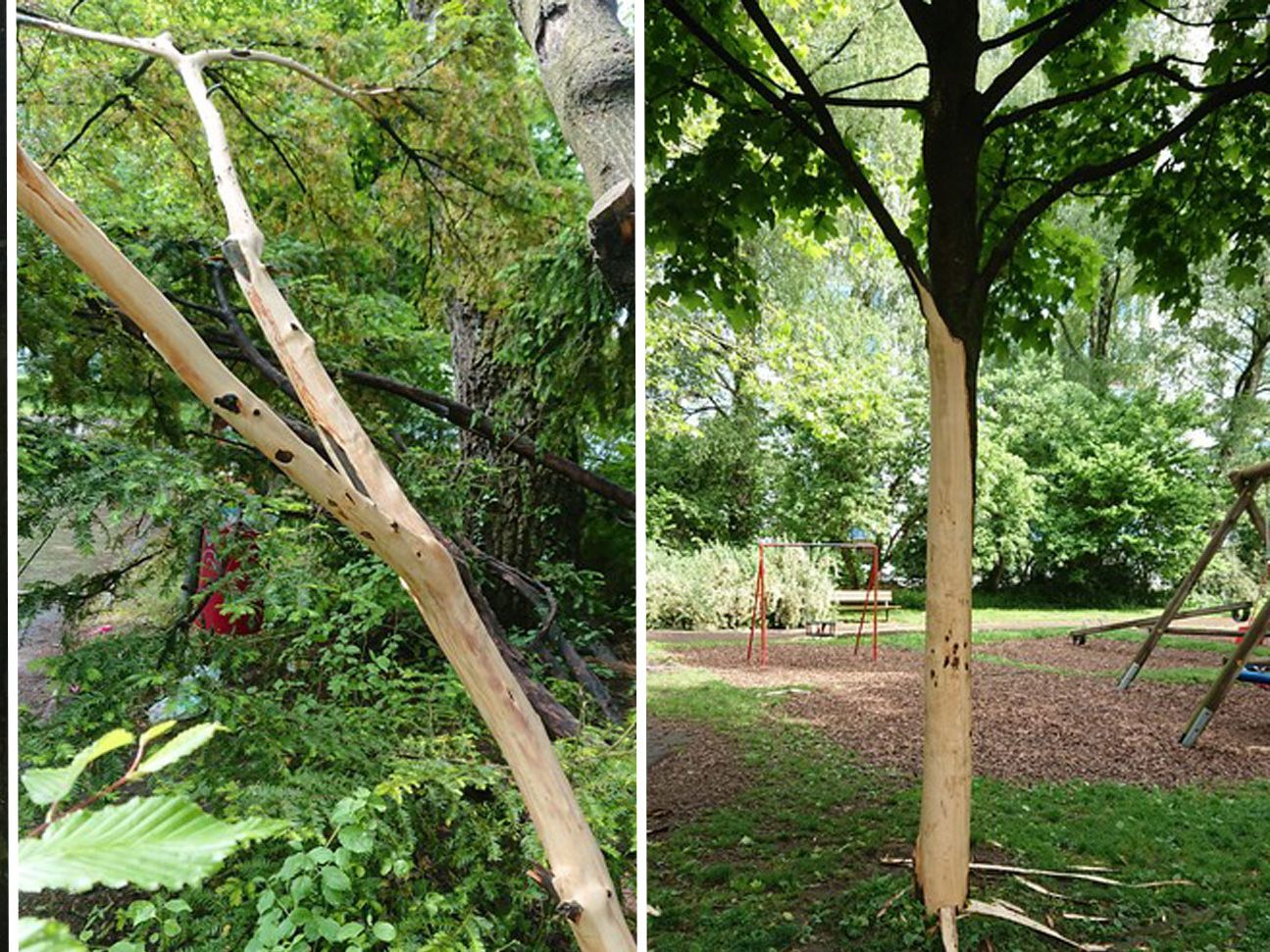 Nachdem ein Spielplatz in Bregenz schwer beschädigt wurde, sucht die Polizei nach Zeugen. Nachdem ein Spielplatz in Bregenz schwer beschädigt wurde, sucht die Polizei nach Zeugen.