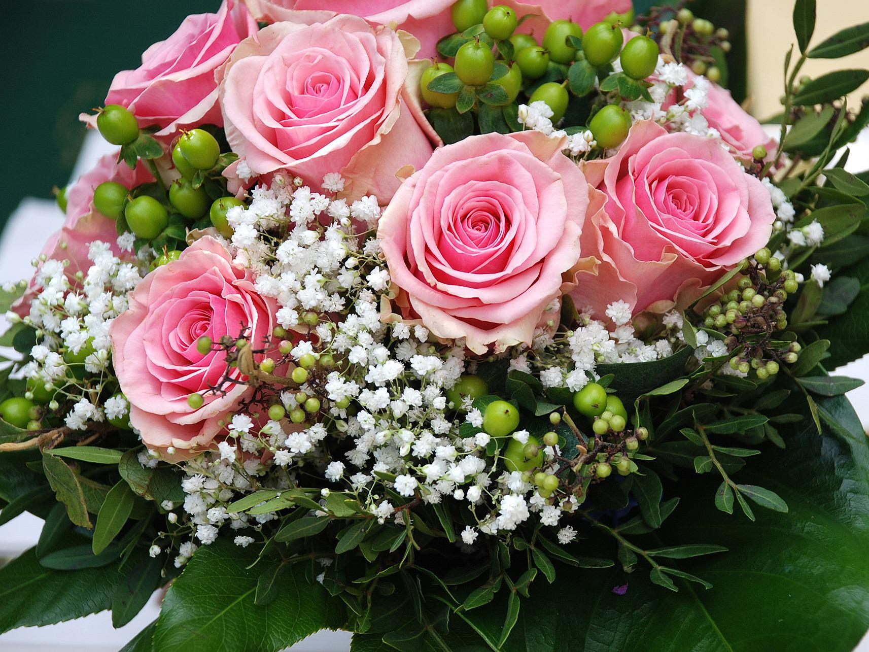 Die Preise für Schnittblumen sind deutlich gestiegen.