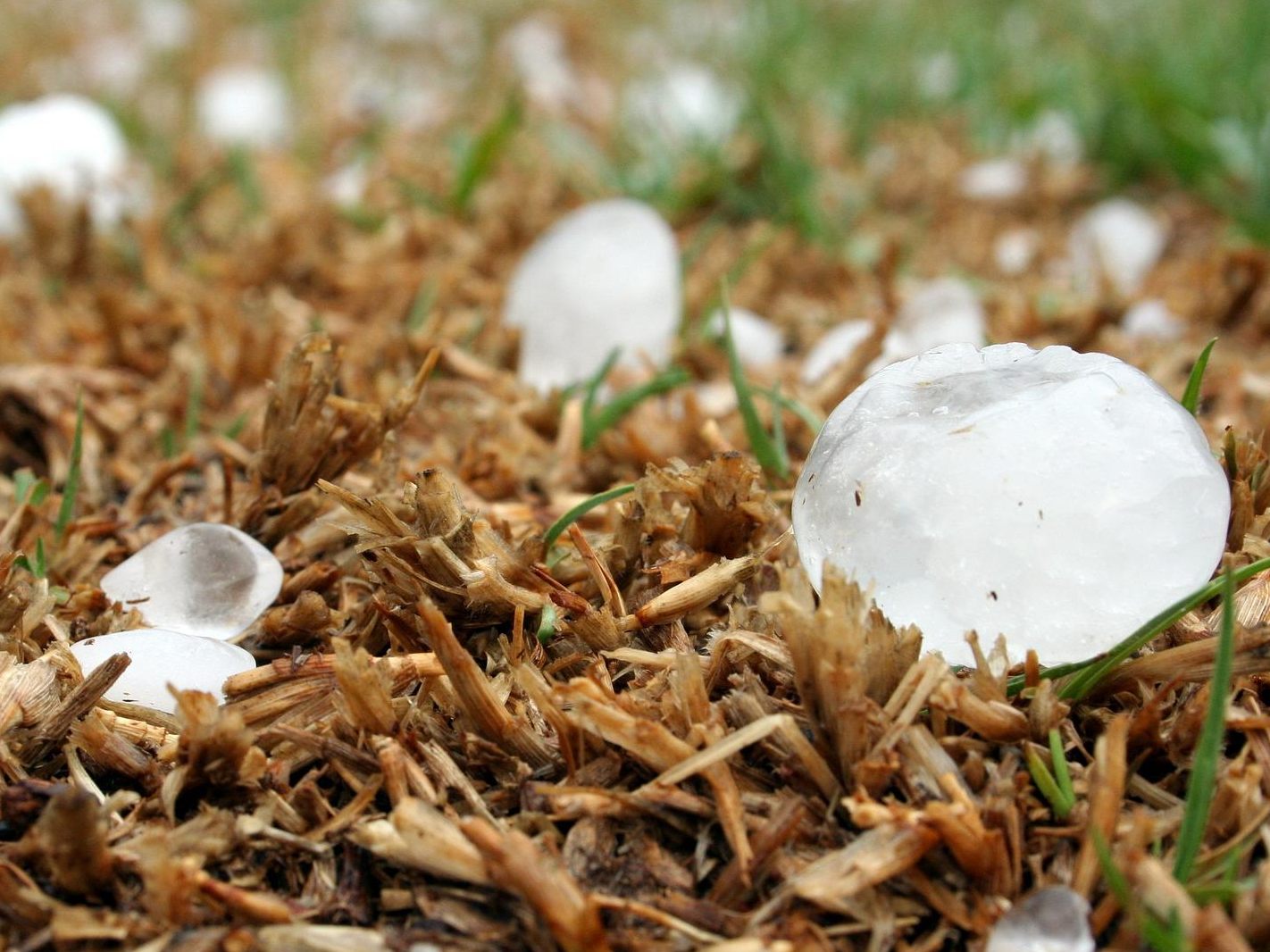 Schwere Unwetter zogen am Mittwoch über den Osten des Landes.