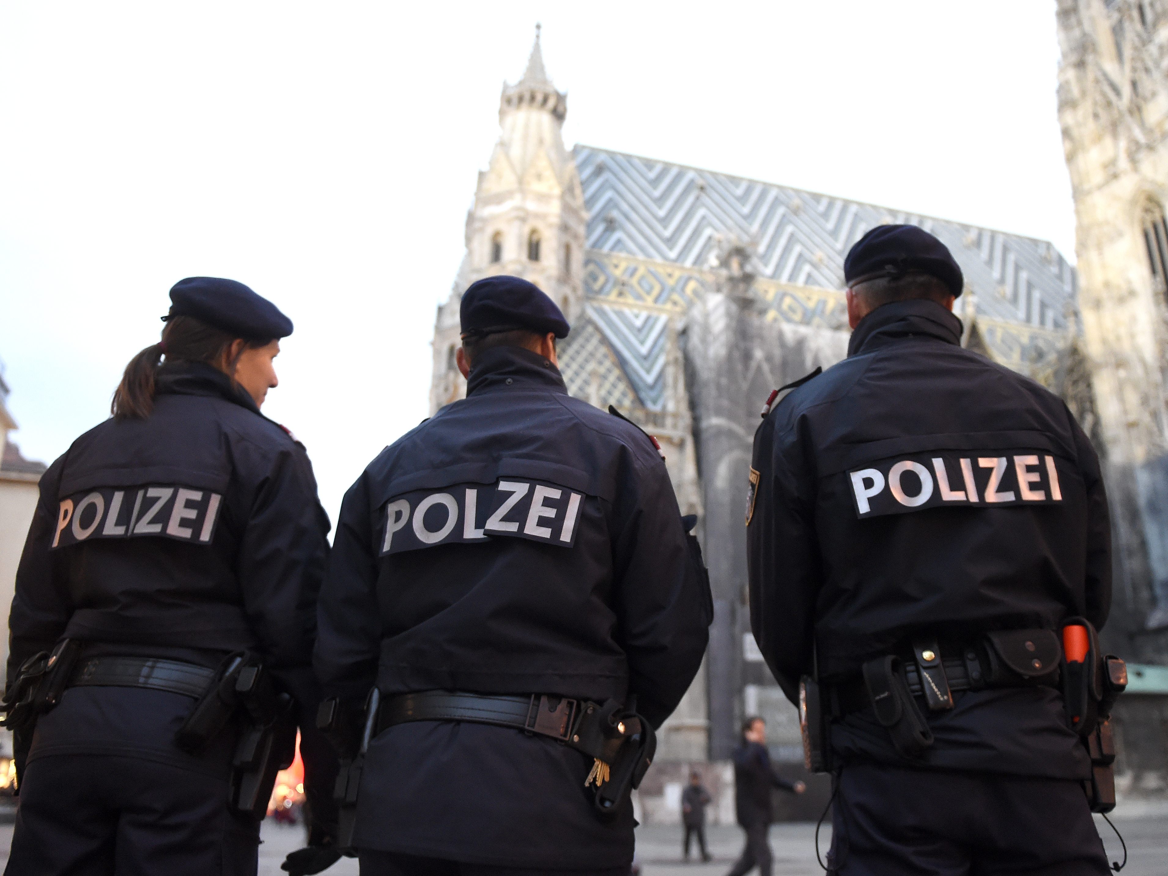 Großeinsatz der Wiener Polizei bei Demos am Stephansplatz.