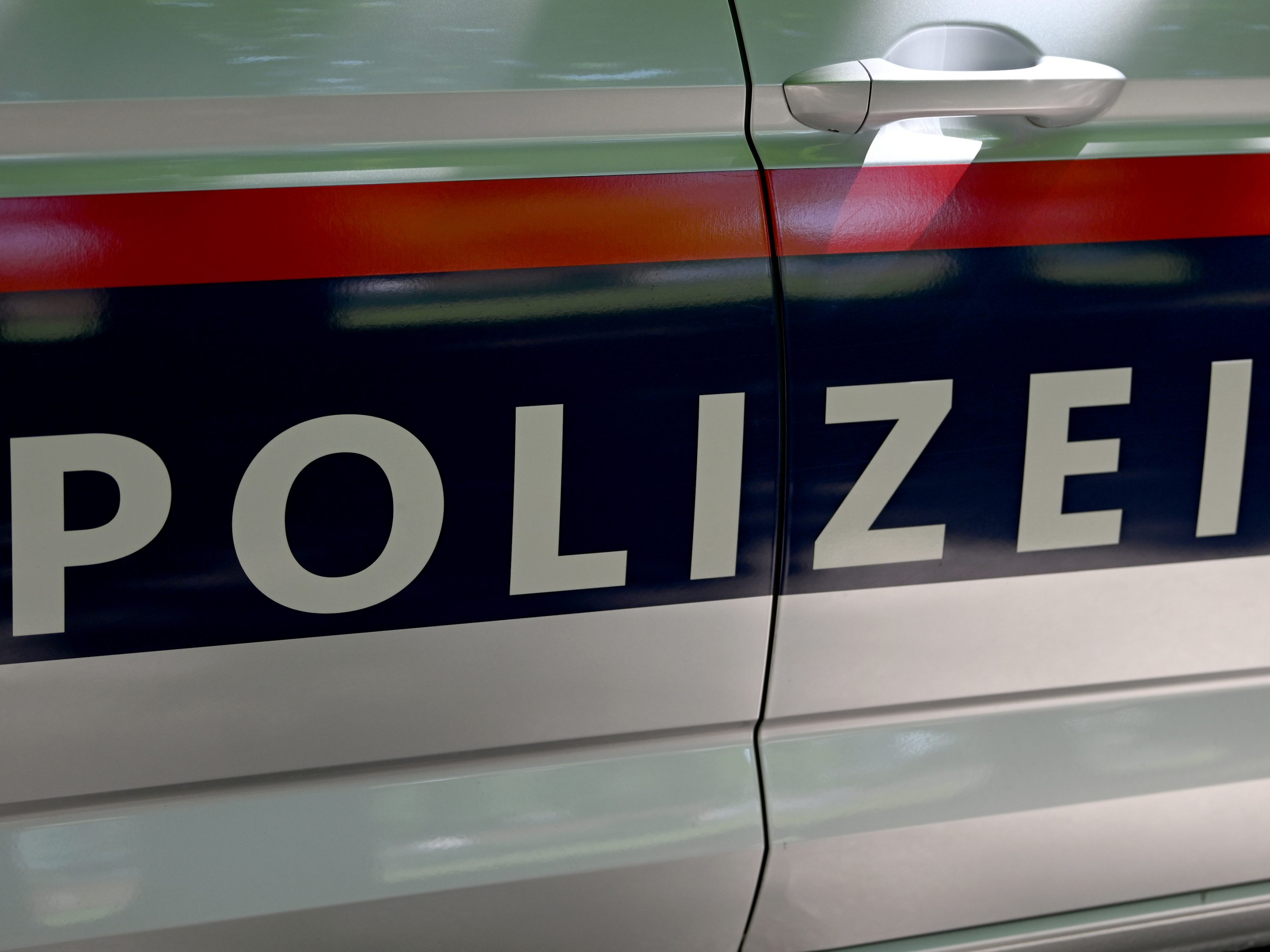 Die Polizei fahndet nach einem Tankstellenüberfall an der S6 in NÖ nach den Tätern.