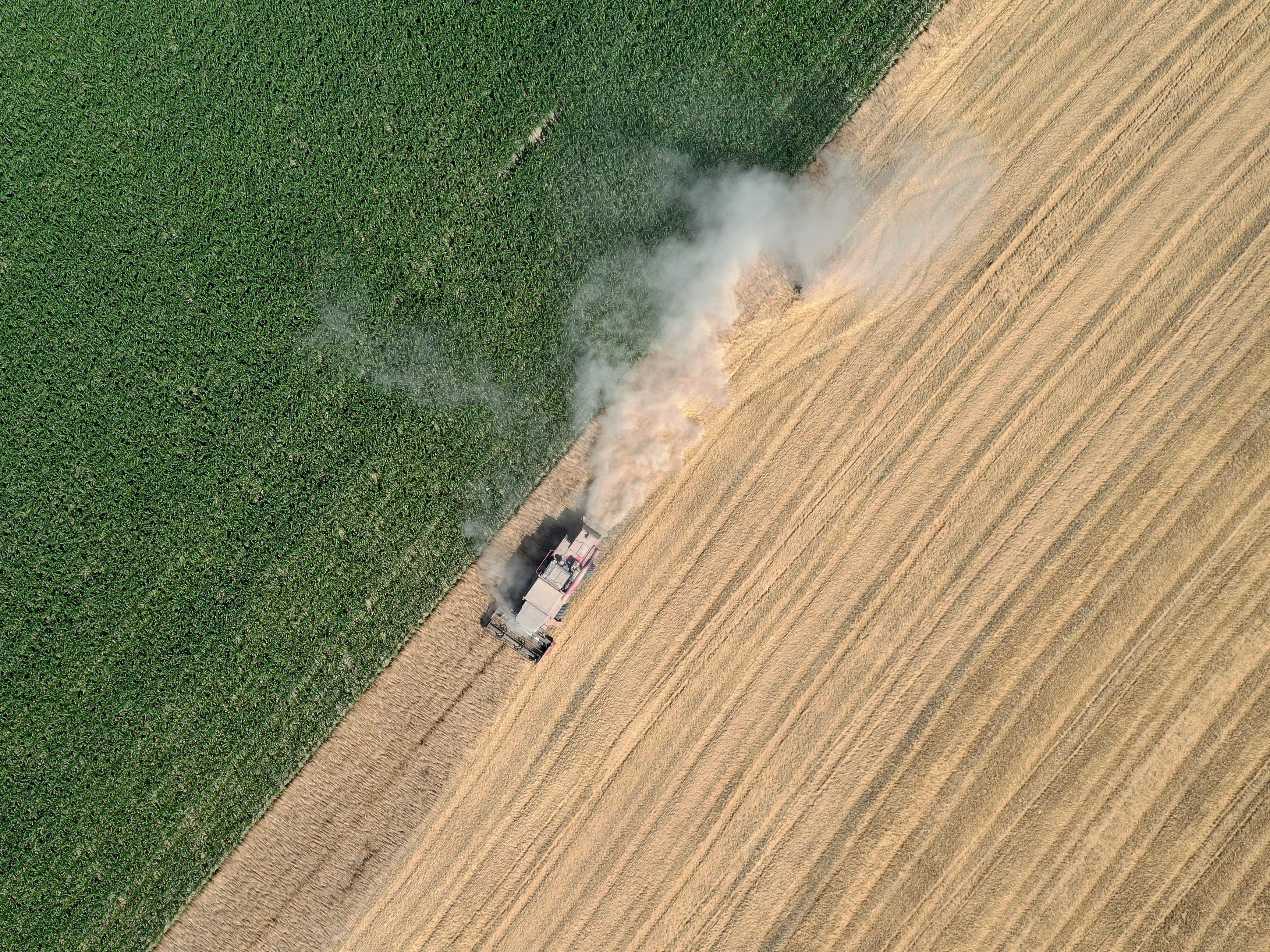 Forscher wollen die Verursacher des Kommens und Gehen von Imperien gefunden haben: Landwirtschaft und Militärtechnik.