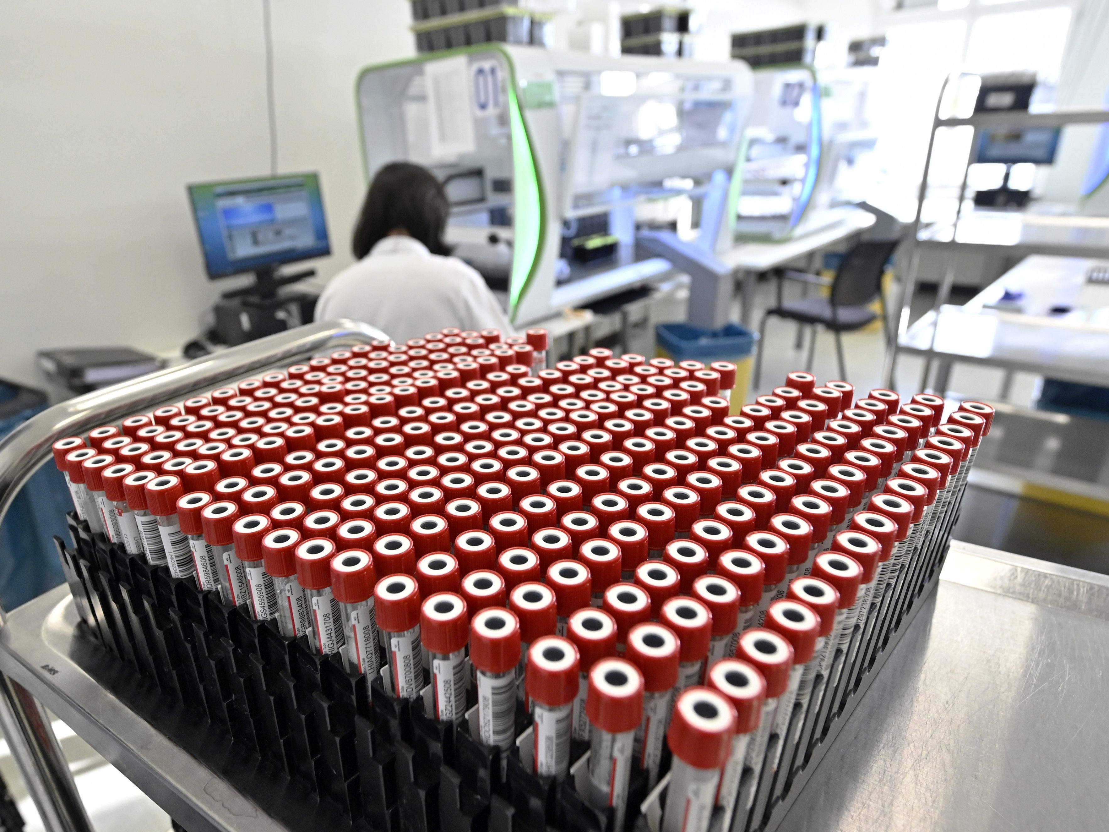 Millionen an Corona-PCR-Schultests im aktuellen Schuljahr. Millionen an Corona-PCR-Schultests im aktuellen Schuljahr.